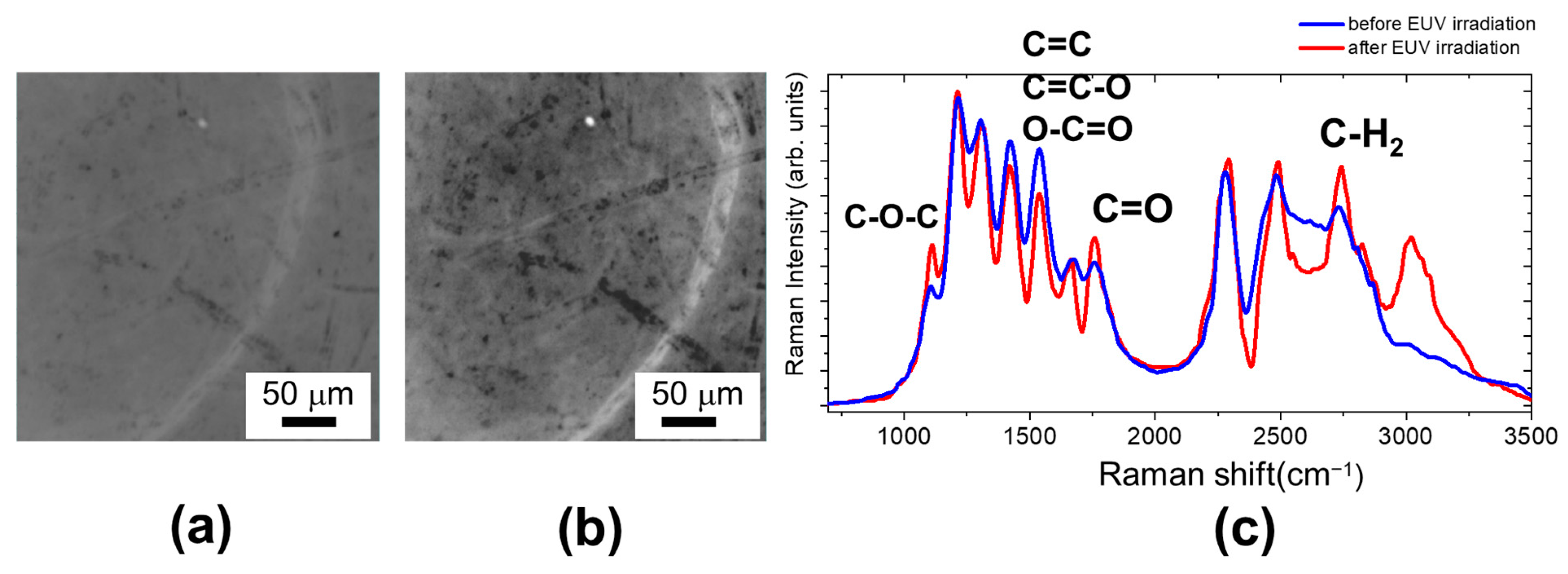 Molecules 29 00015 g007