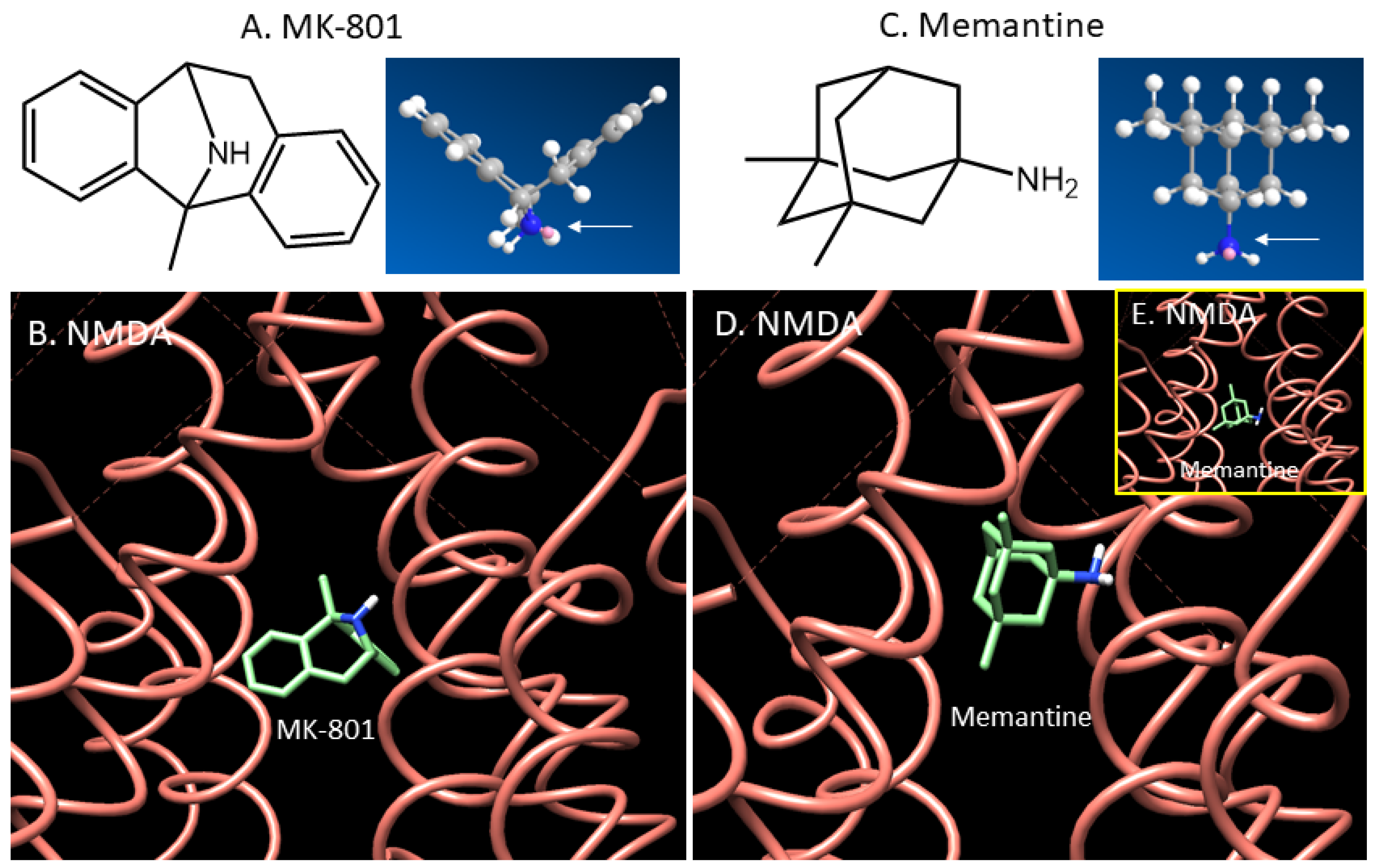Molecules 29 00020 g001