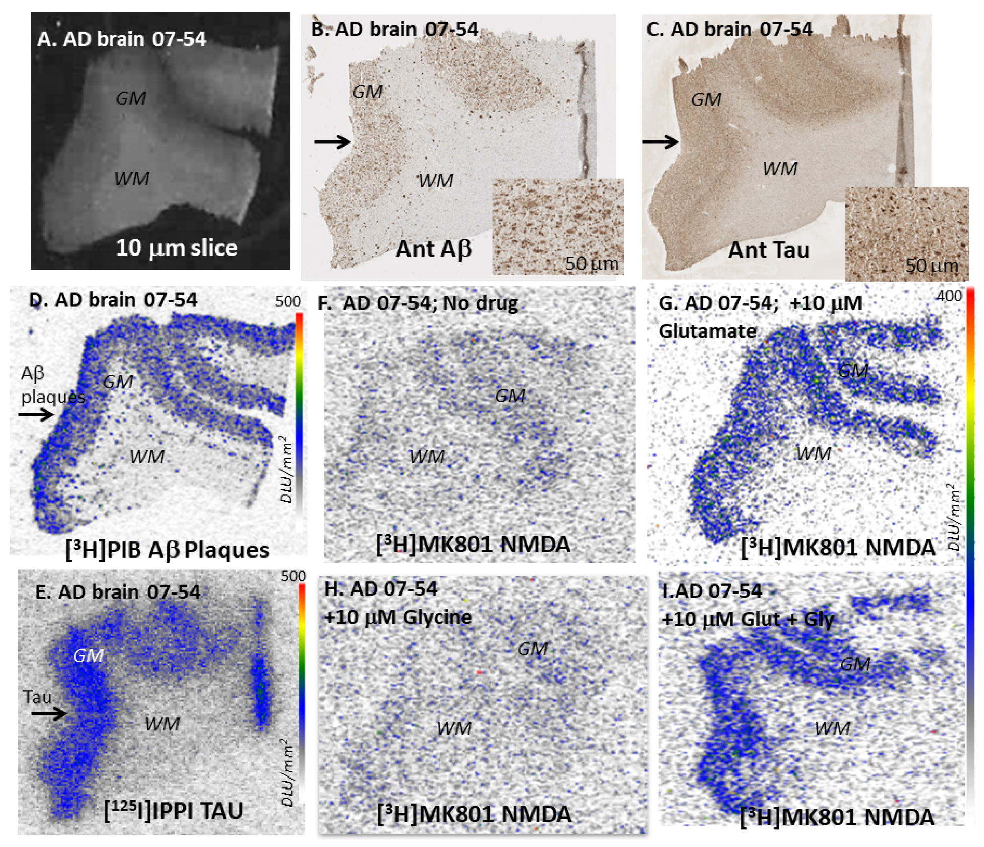 Molecules 29 00020 g003