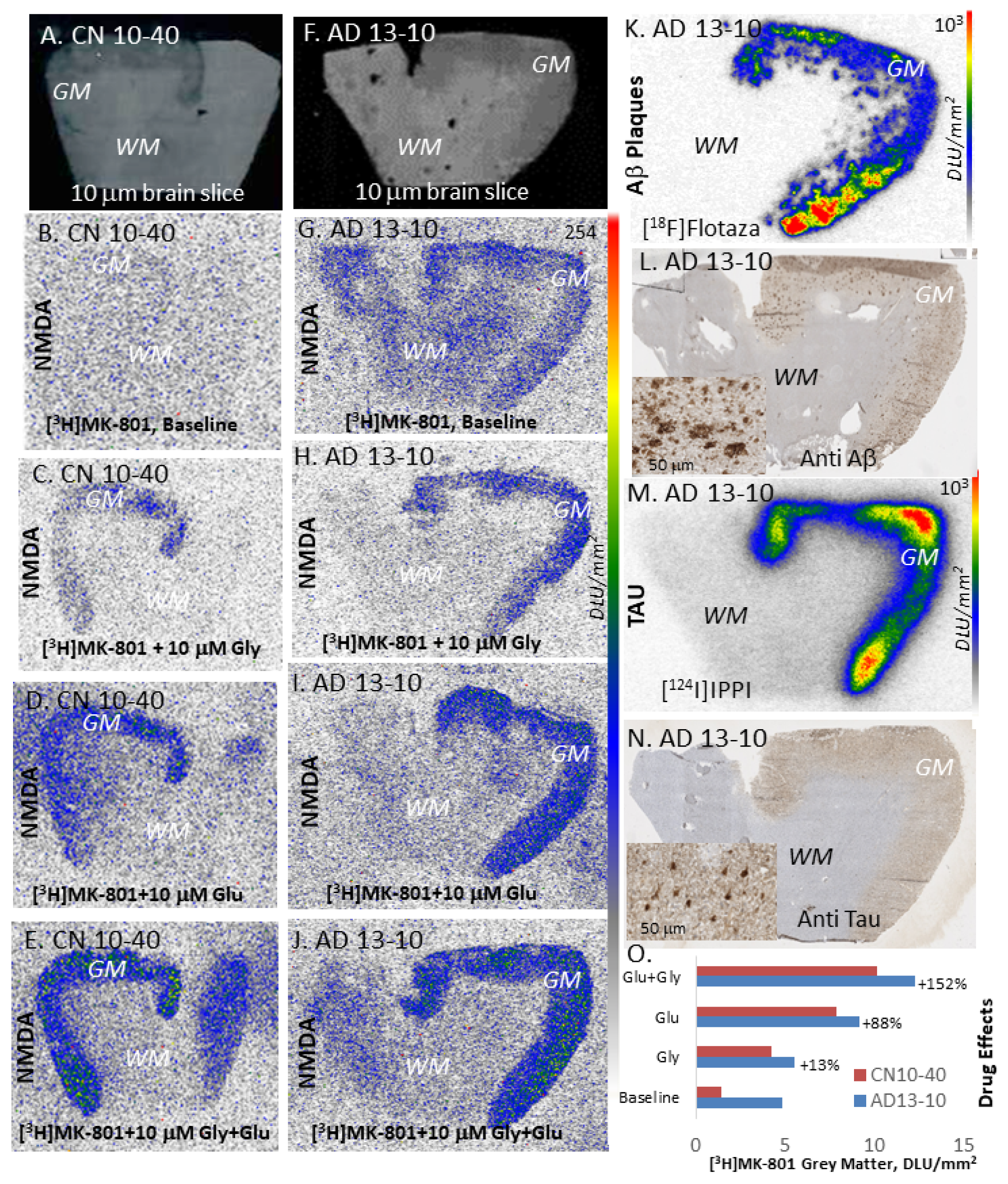 Molecules 29 00020 g005