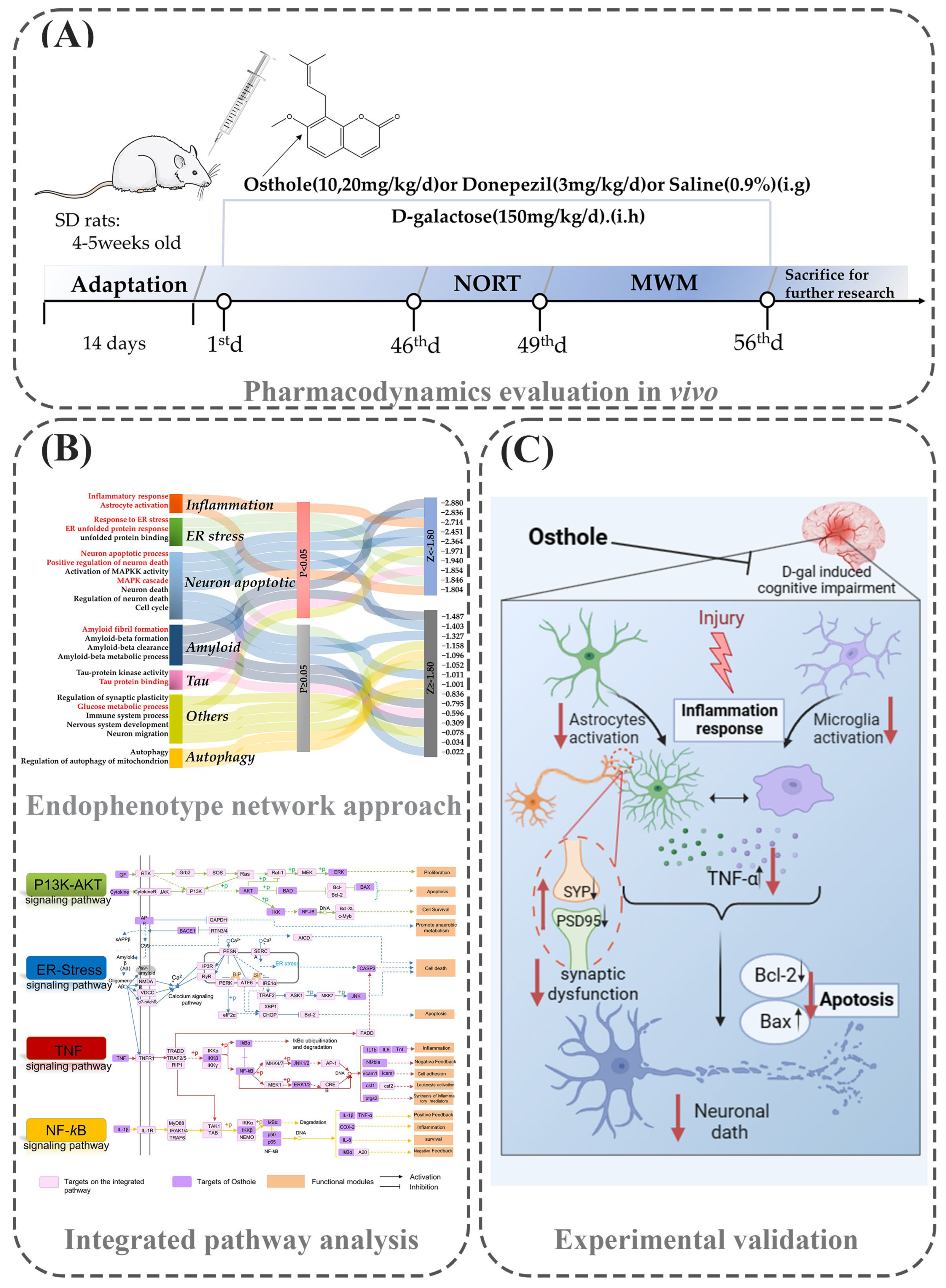 Molecules 29 00021 g001
