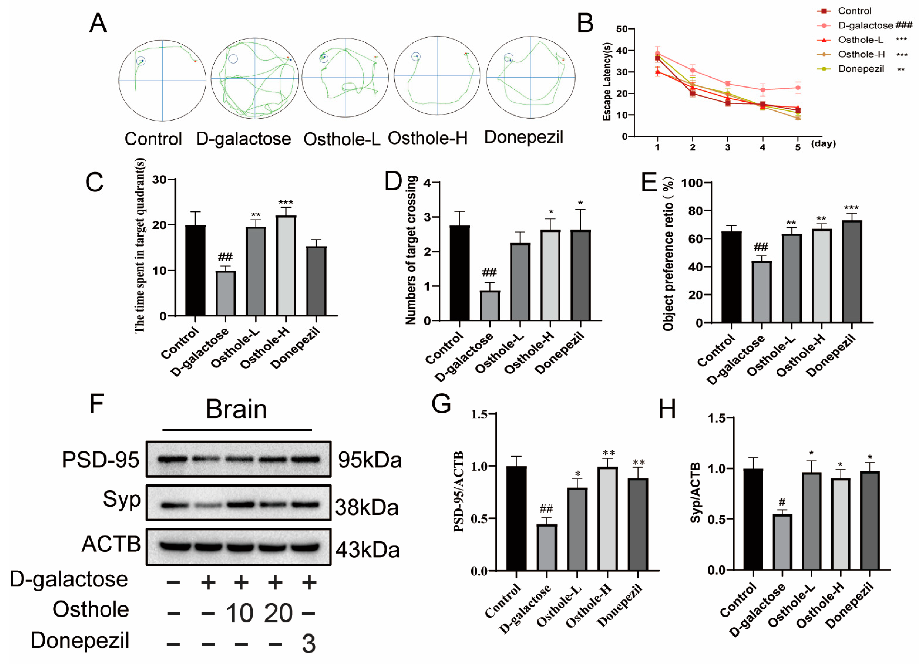 Molecules 29 00021 g002