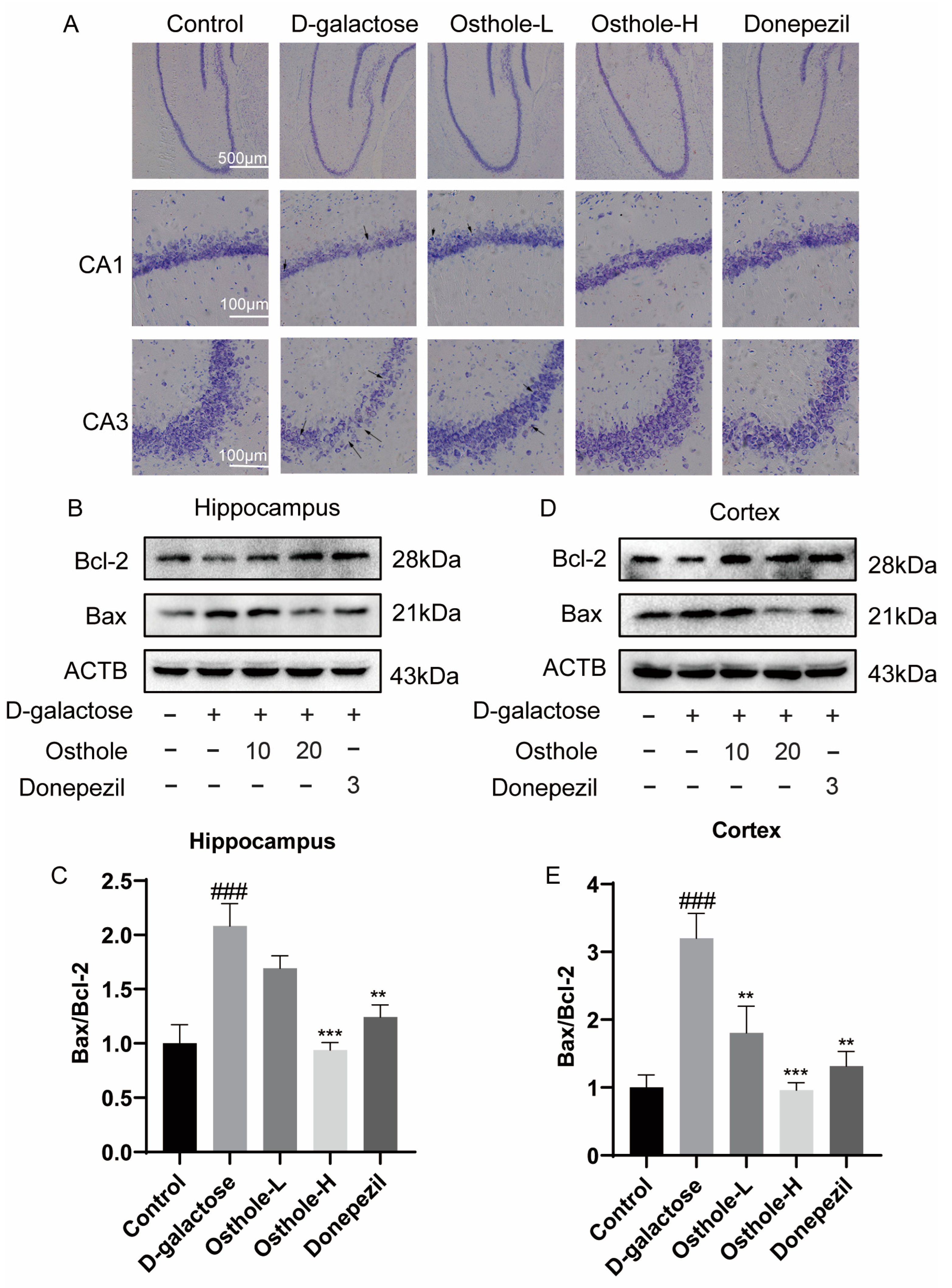 Molecules 29 00021 g007