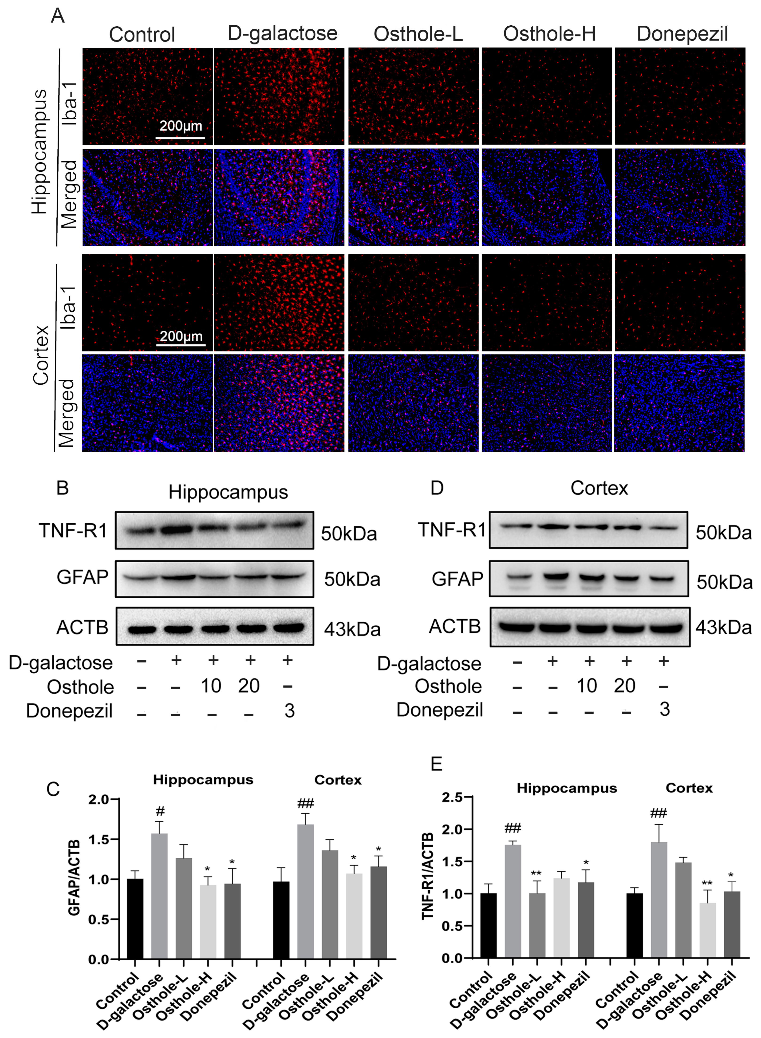 Molecules 29 00021 g008