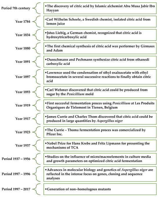 Molecules 29 00022 g002