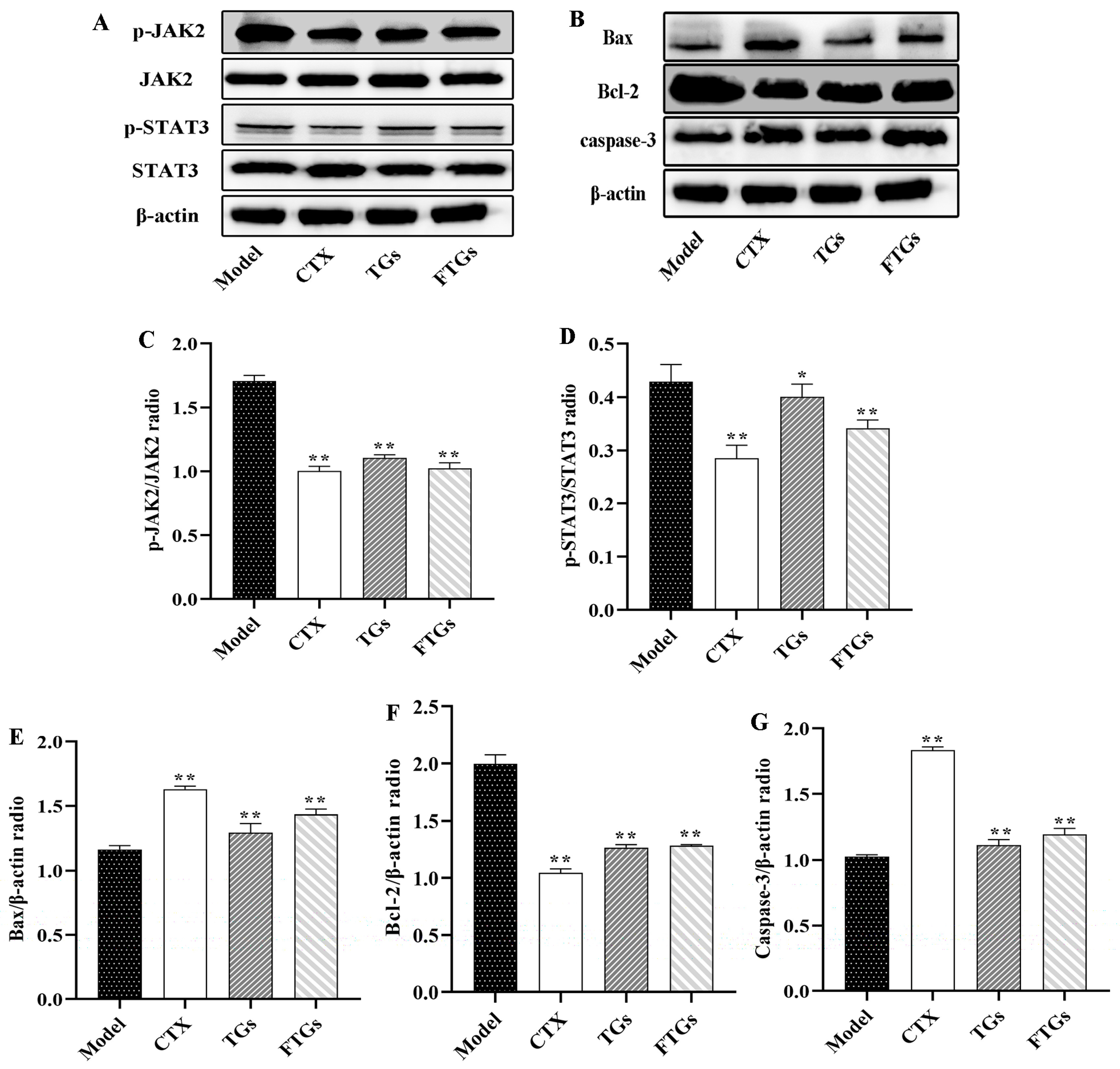 Molecules 29 00027 g005
