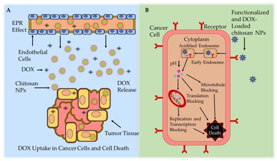 Molecules 29 00031 g004