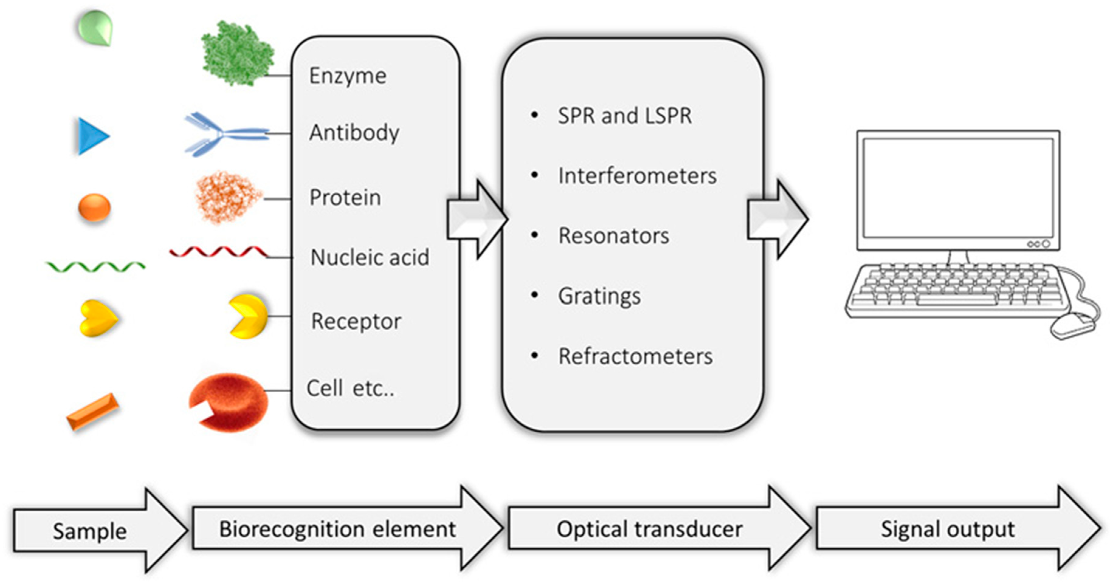 Molecules 29 00034 g001