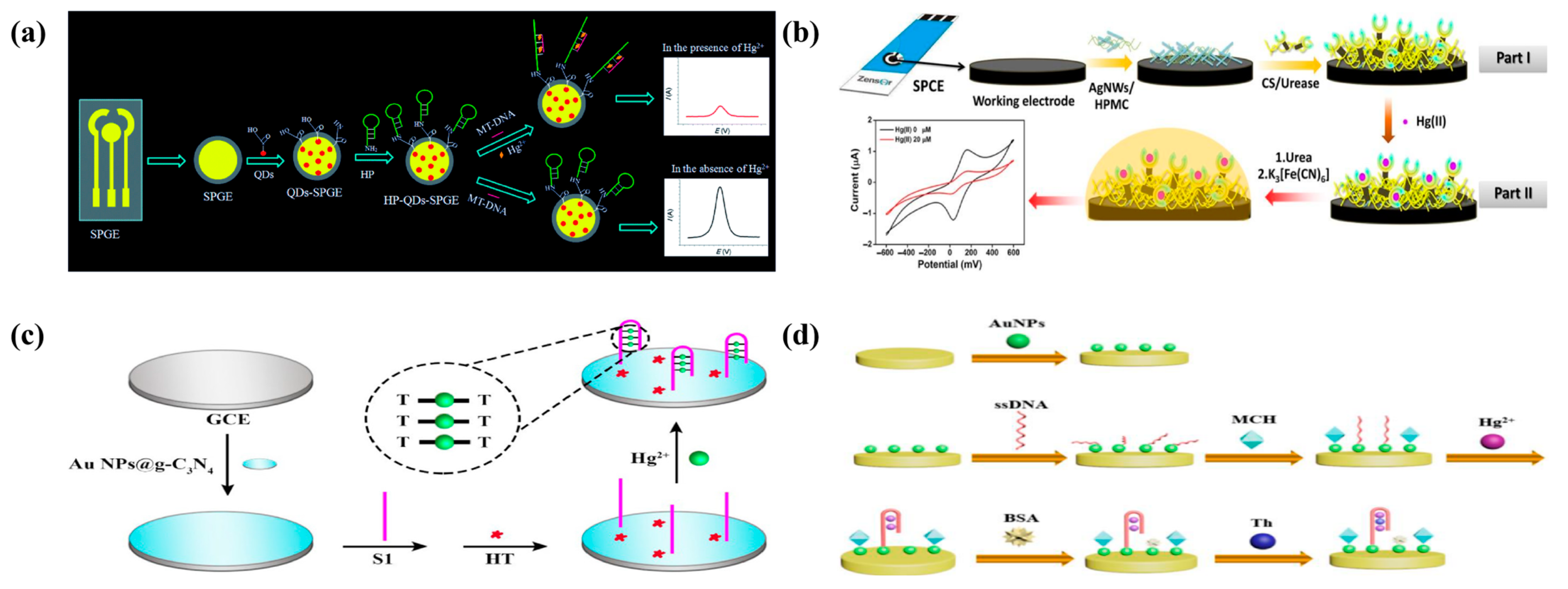 Molecules 29 00034 g002