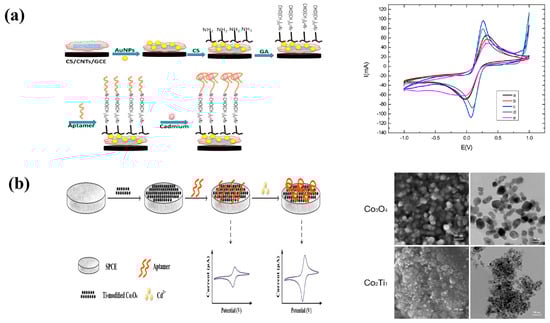 Molecules 29 00034 g004