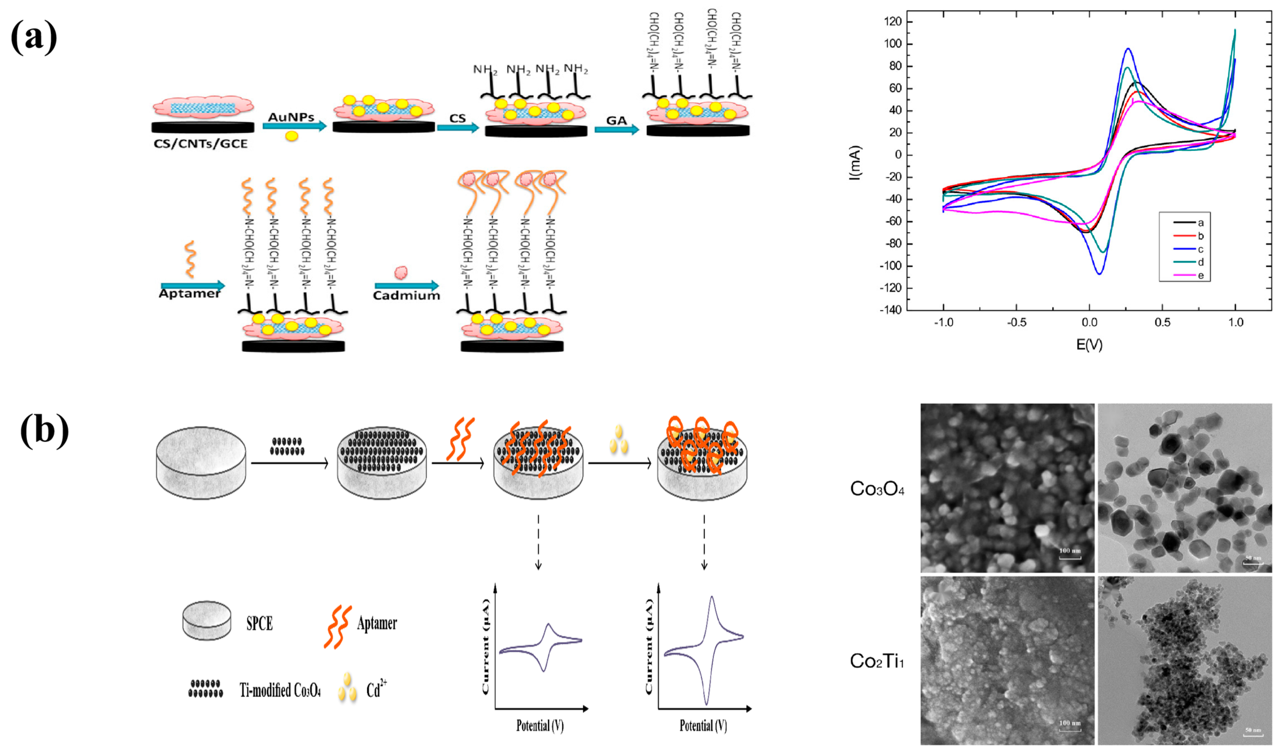 Molecules 29 00034 g004
