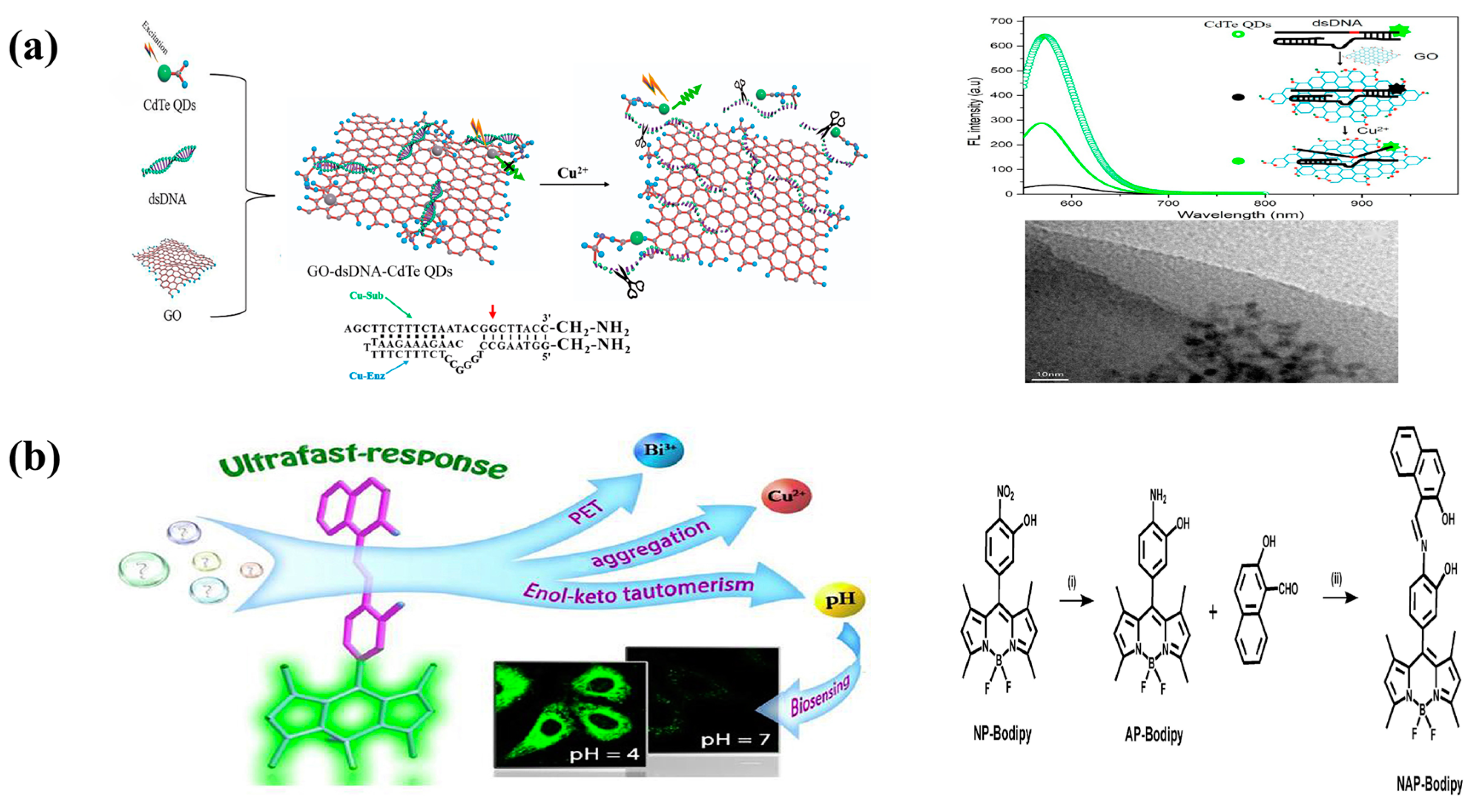 Molecules 29 00034 g007