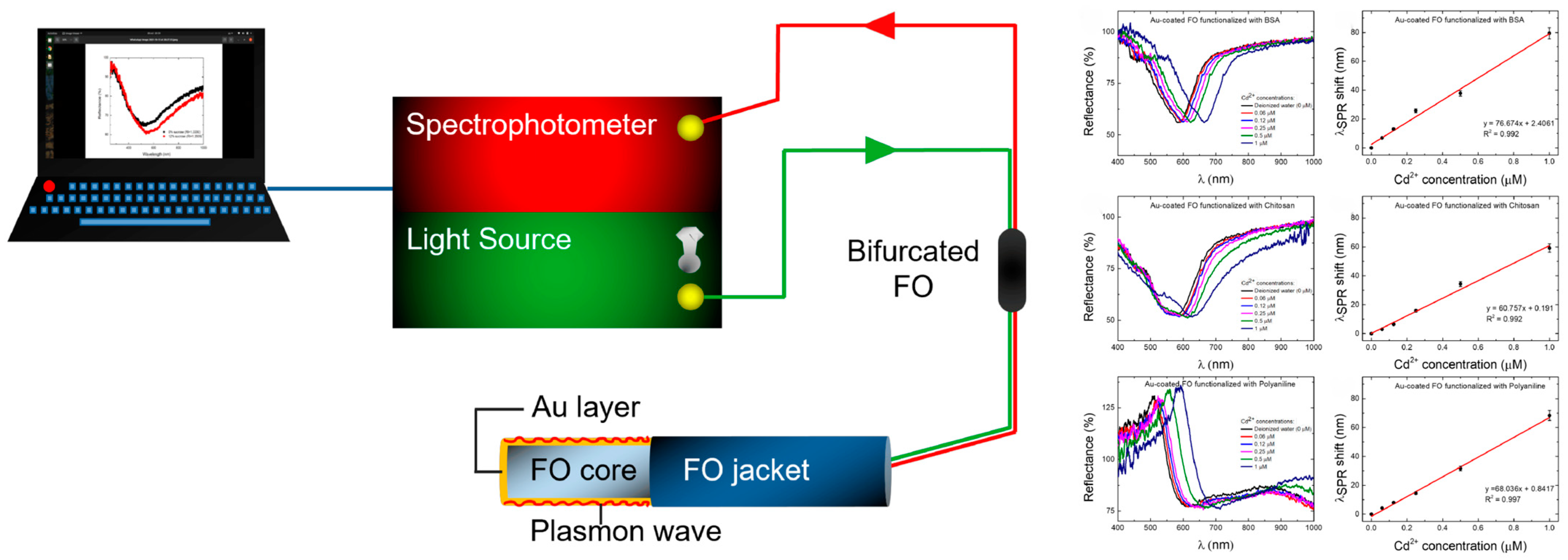 Molecules 29 00034 g009
