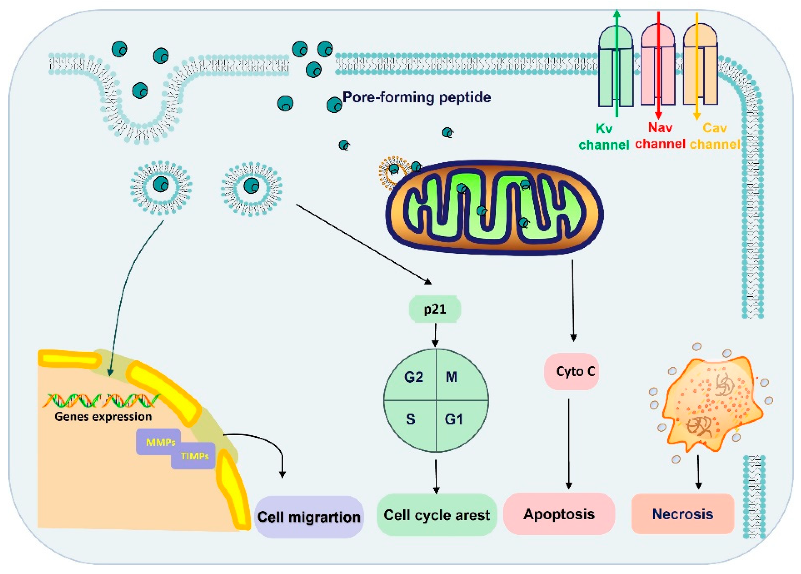 Molecules 29 00035 g003