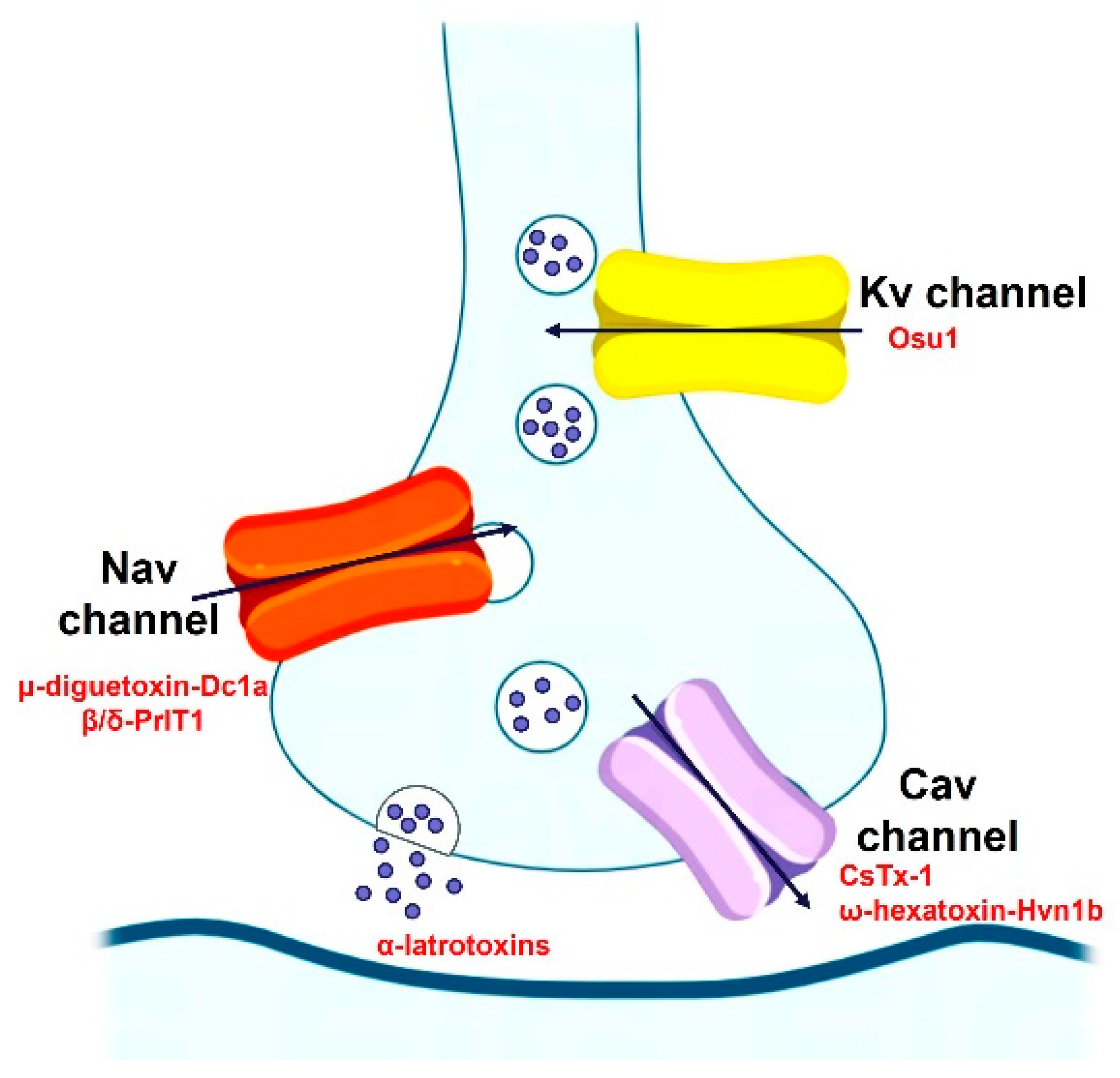 Molecules 29 00035 g004