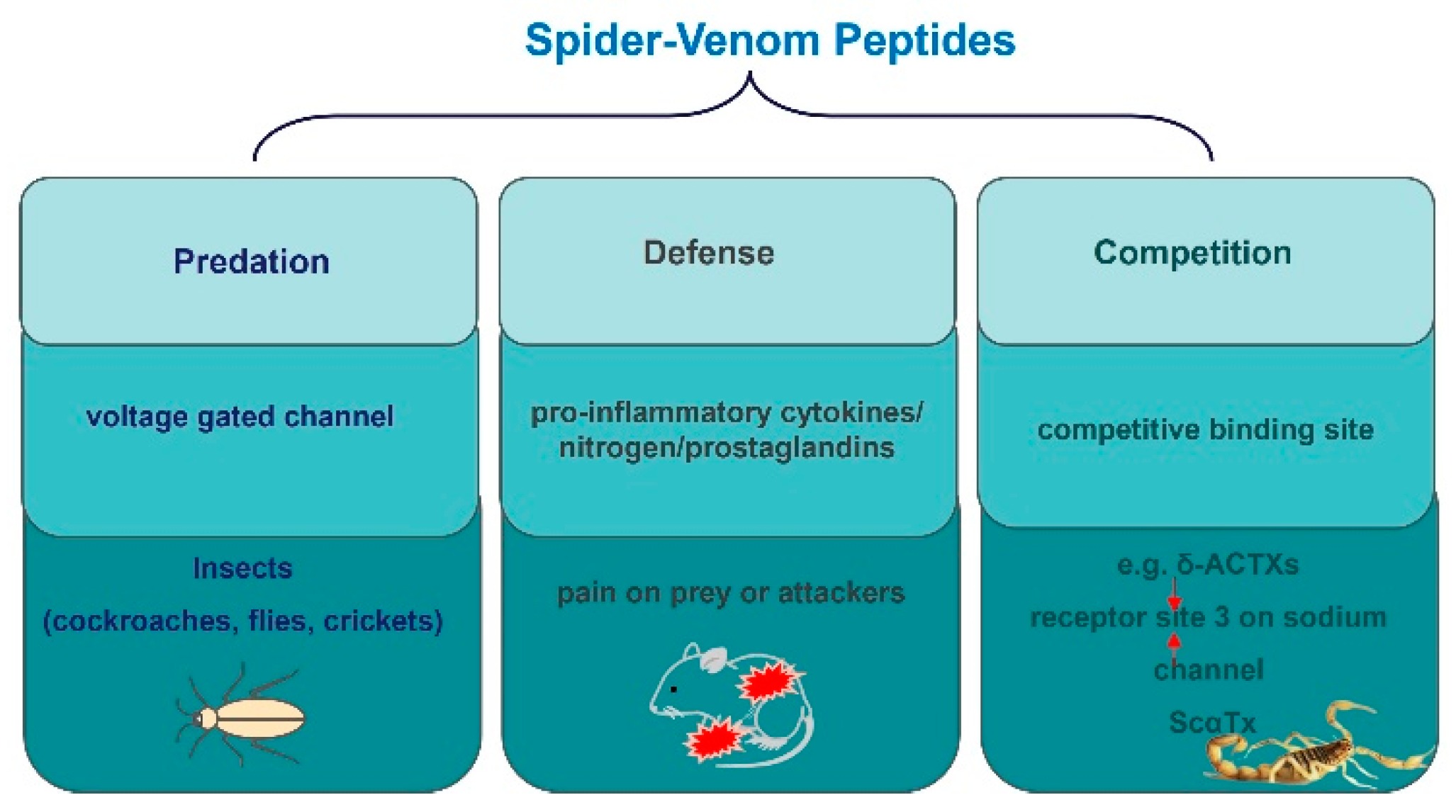 Molecules 29 00035 g005