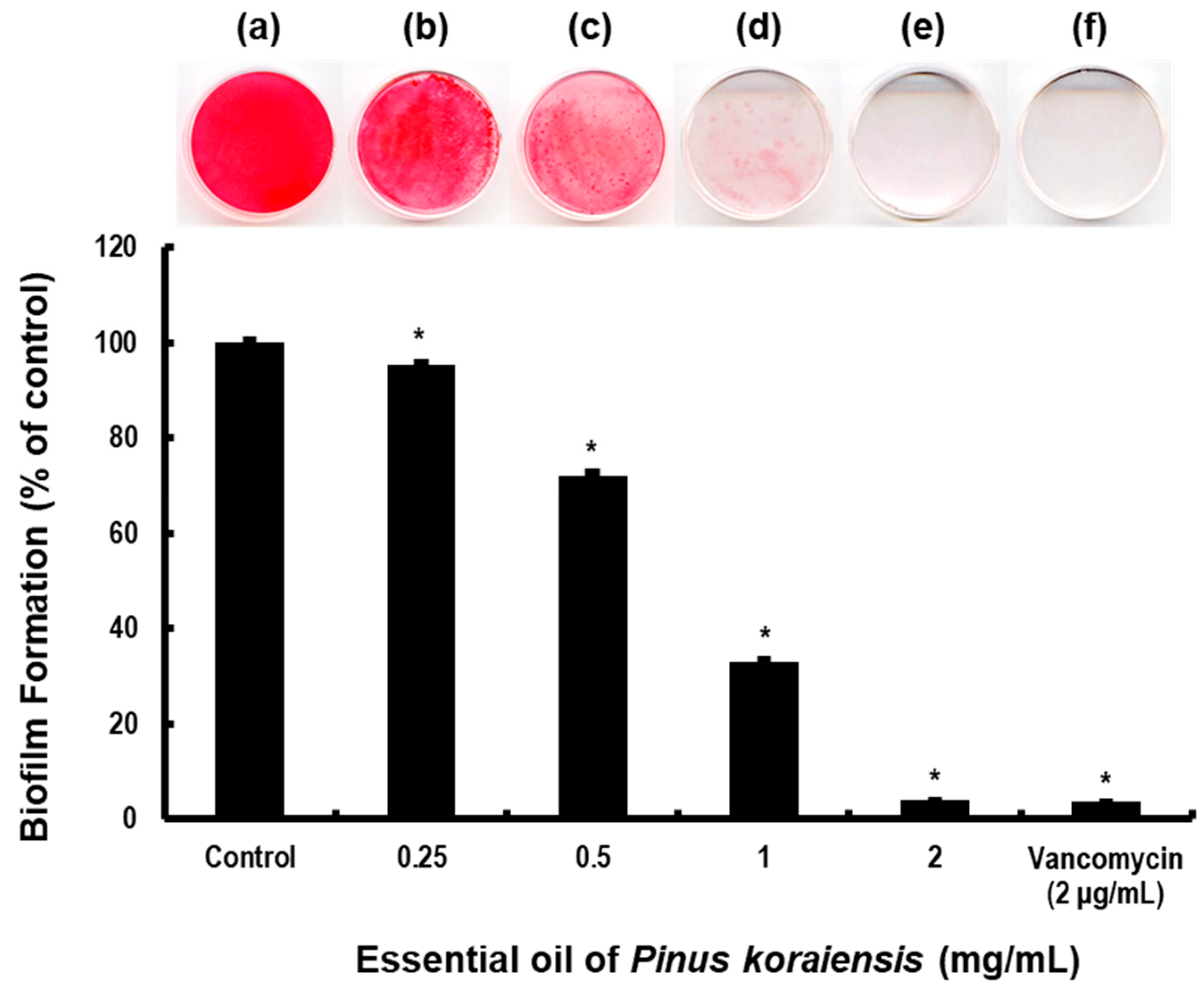 Molecules 29 00037 g002