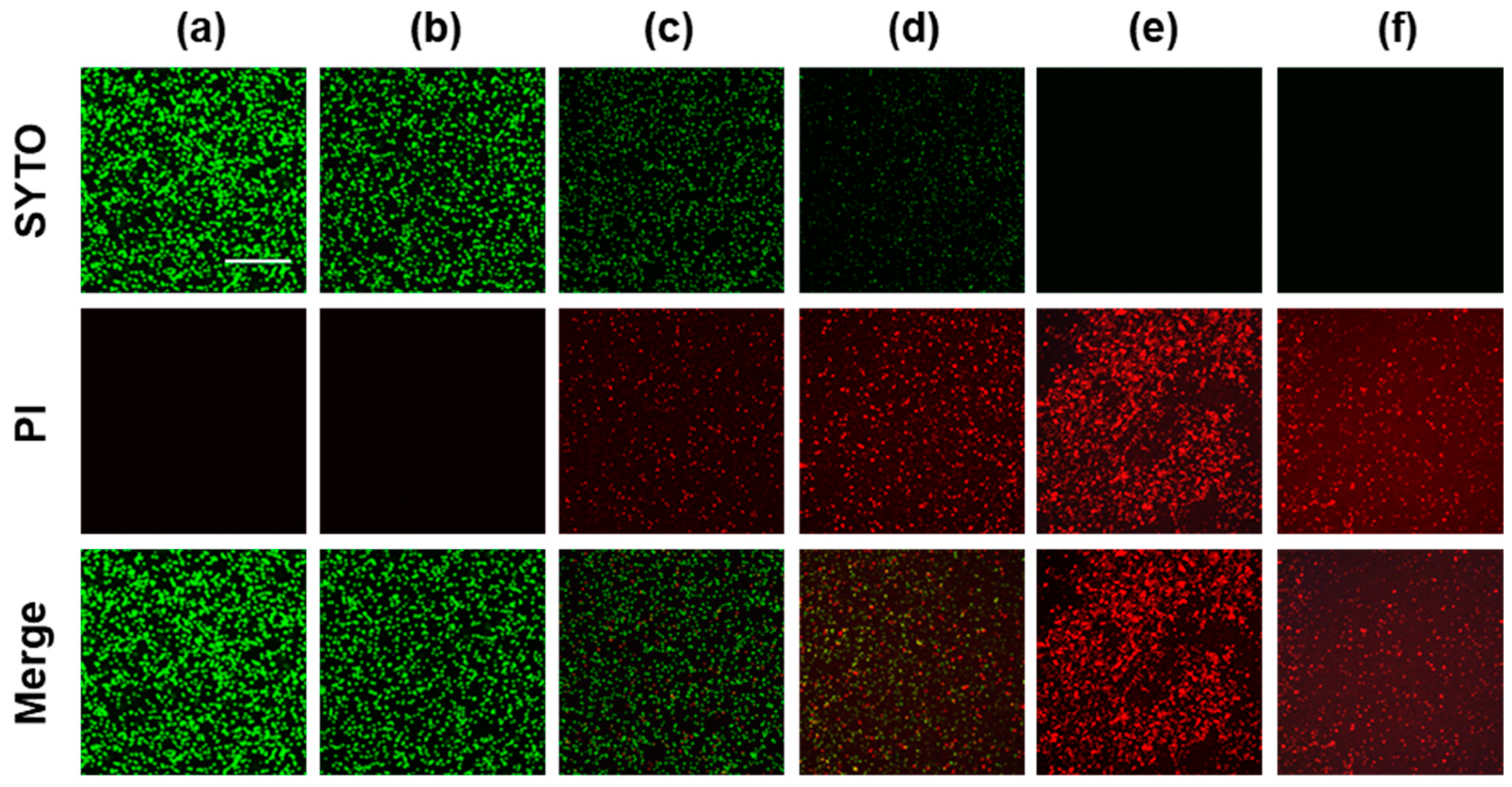 Molecules 29 00037 g004