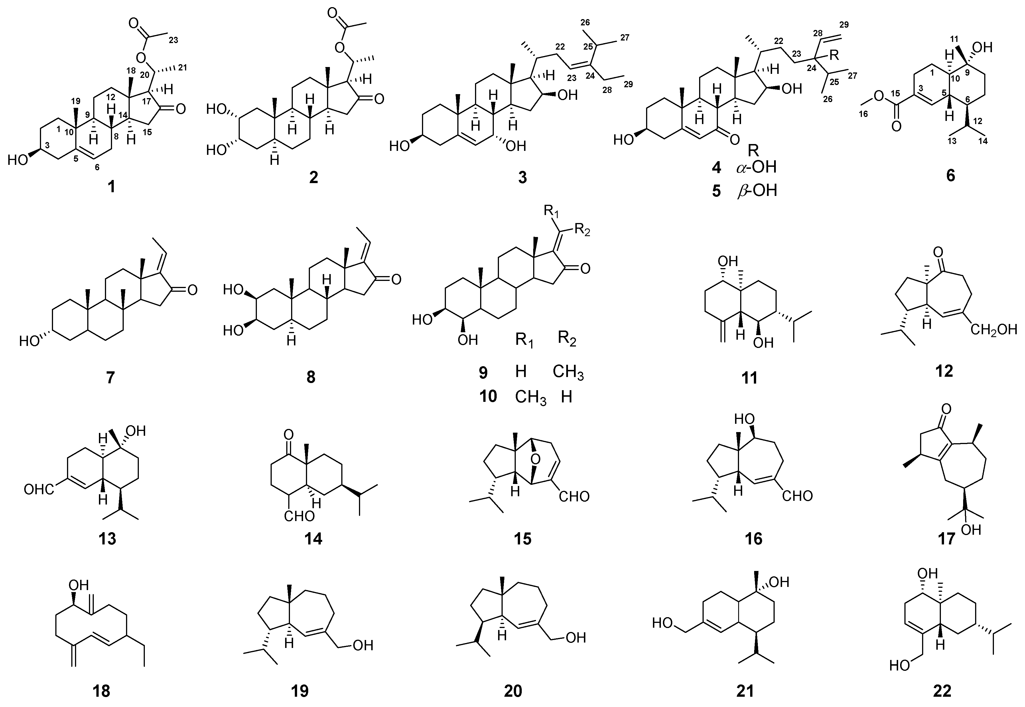 Molecules 29 00039 g001
