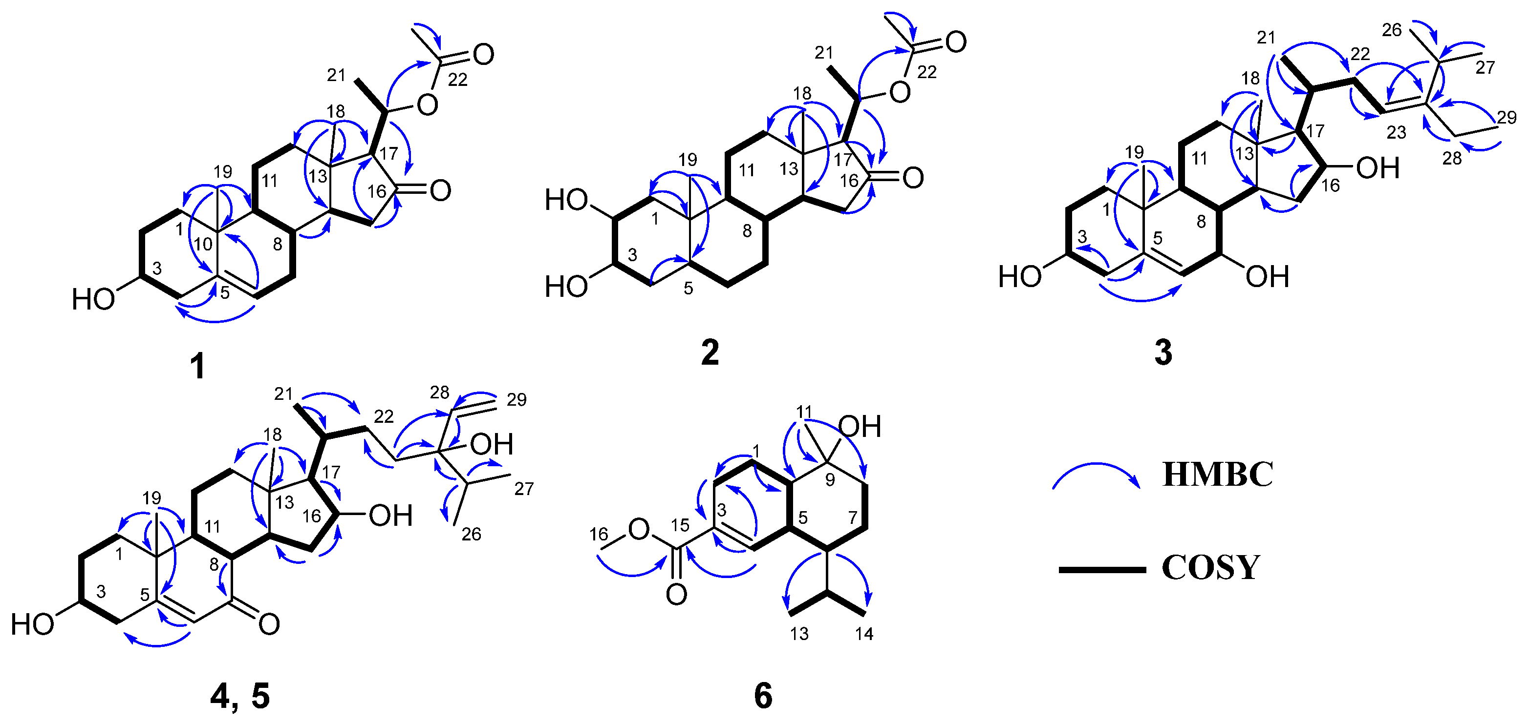 Molecules 29 00039 g002