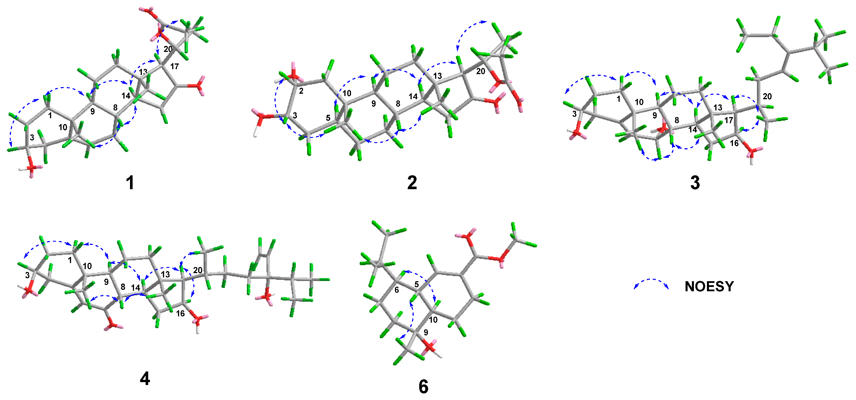 Molecules 29 00039 g003