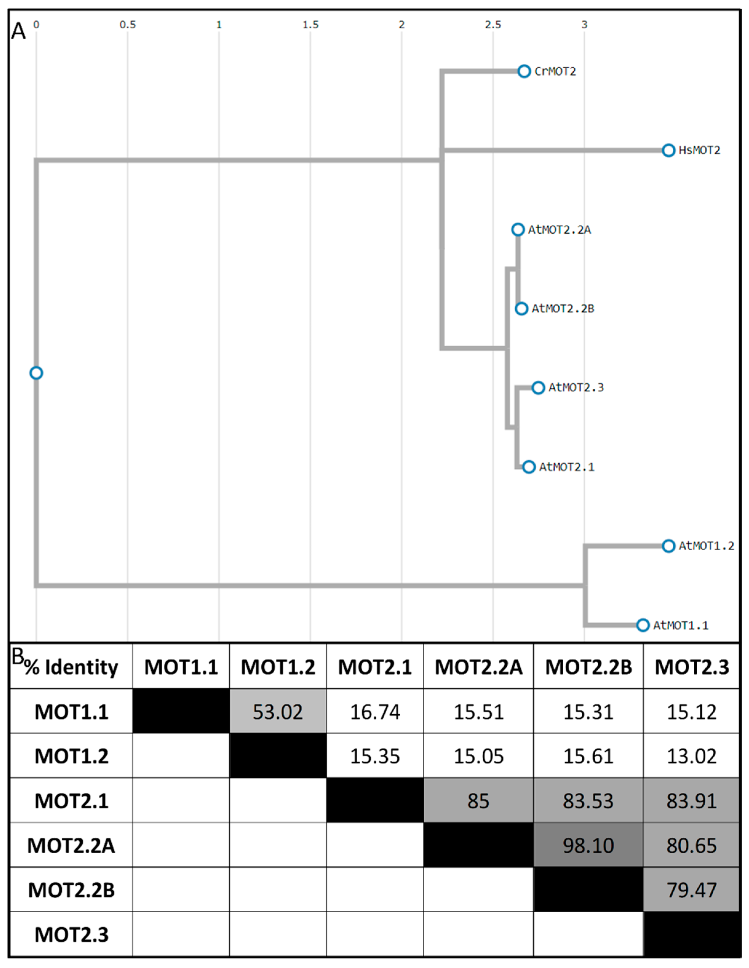 Molecules 29 00040 g003
