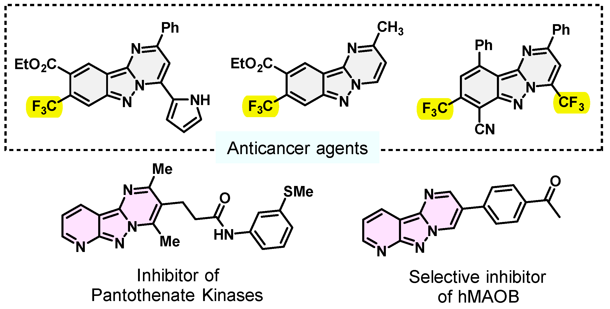 Molecules 29 00044 g001