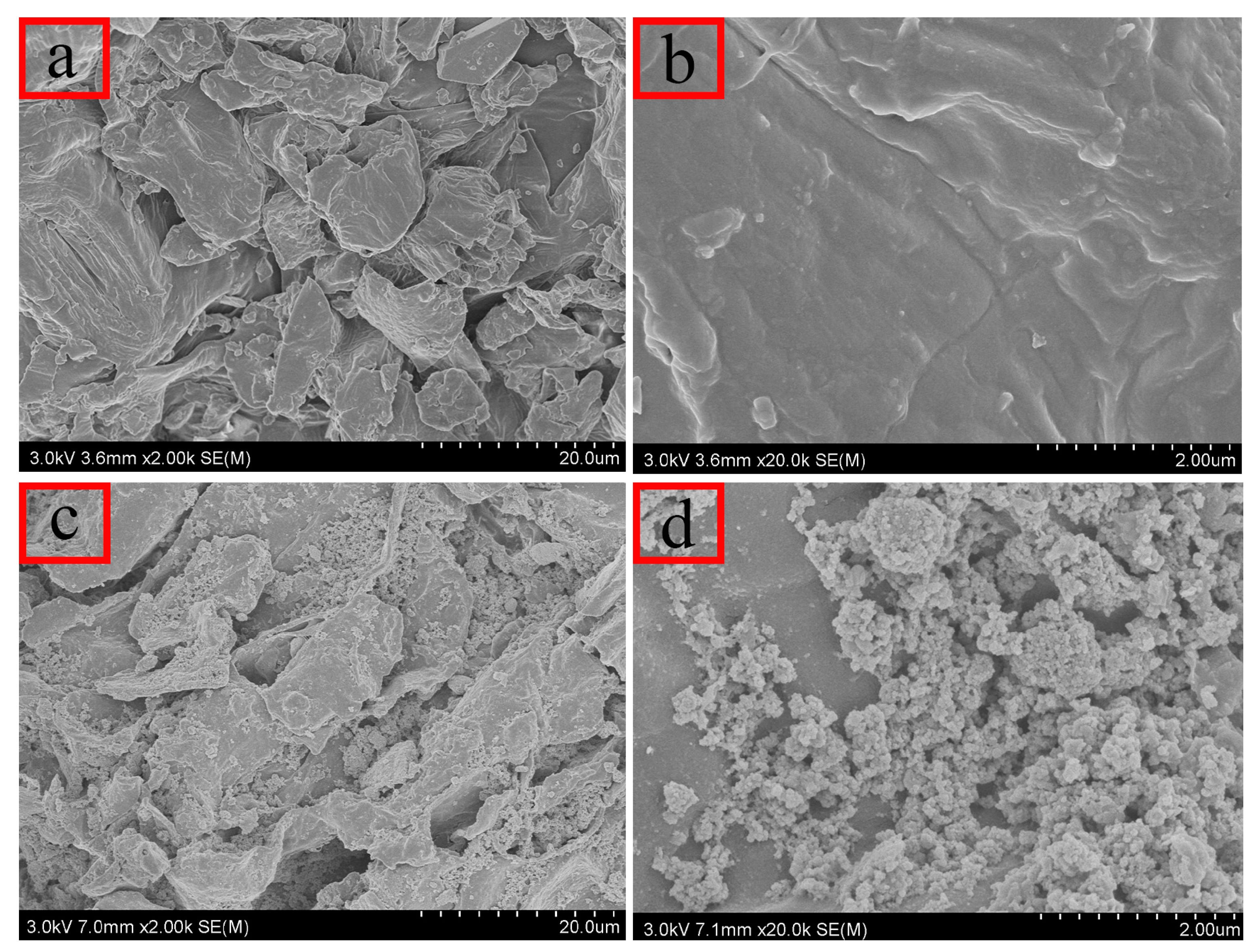 Molecules 29 00045 g002