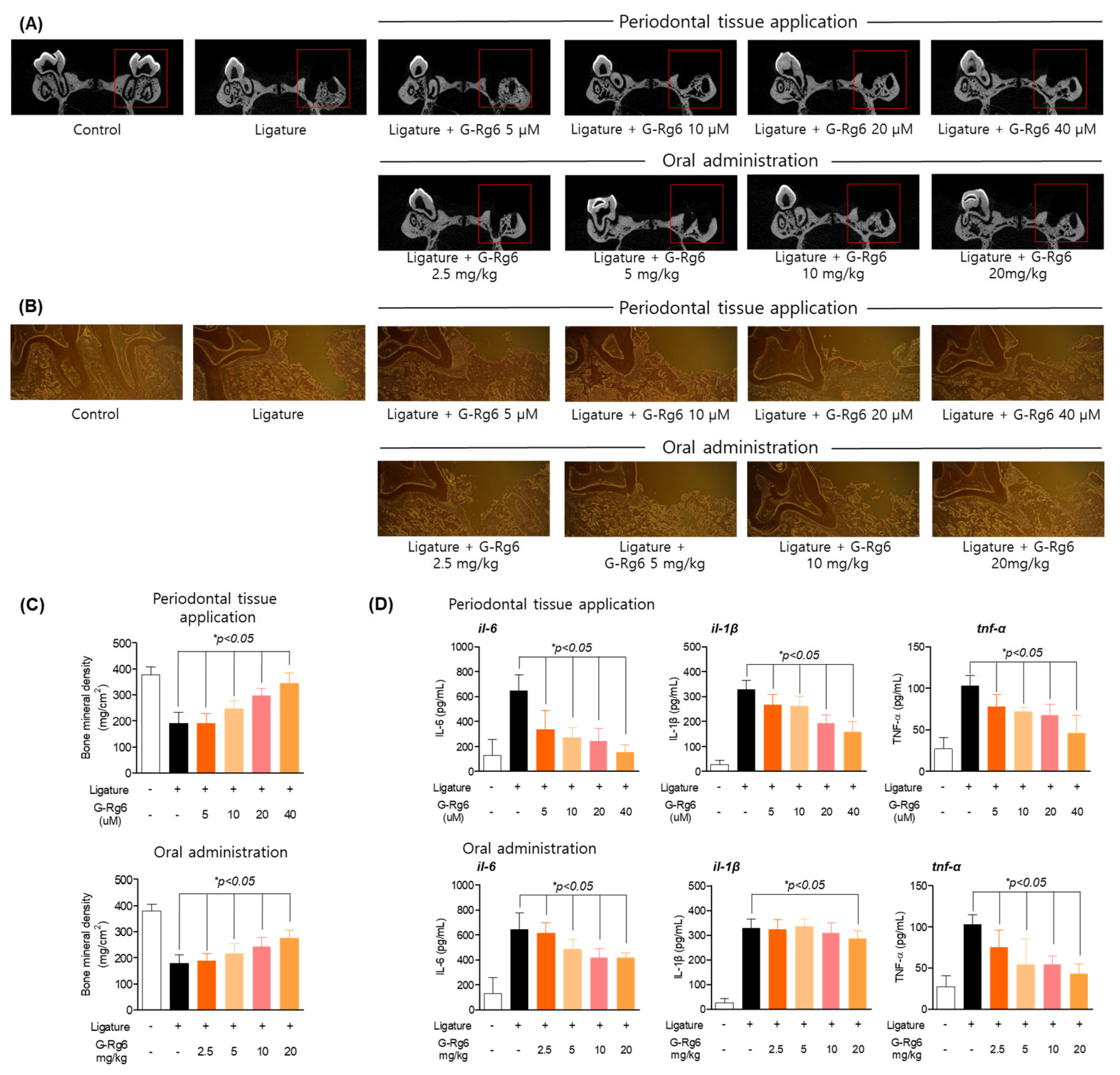 Molecules 29 00046 g005