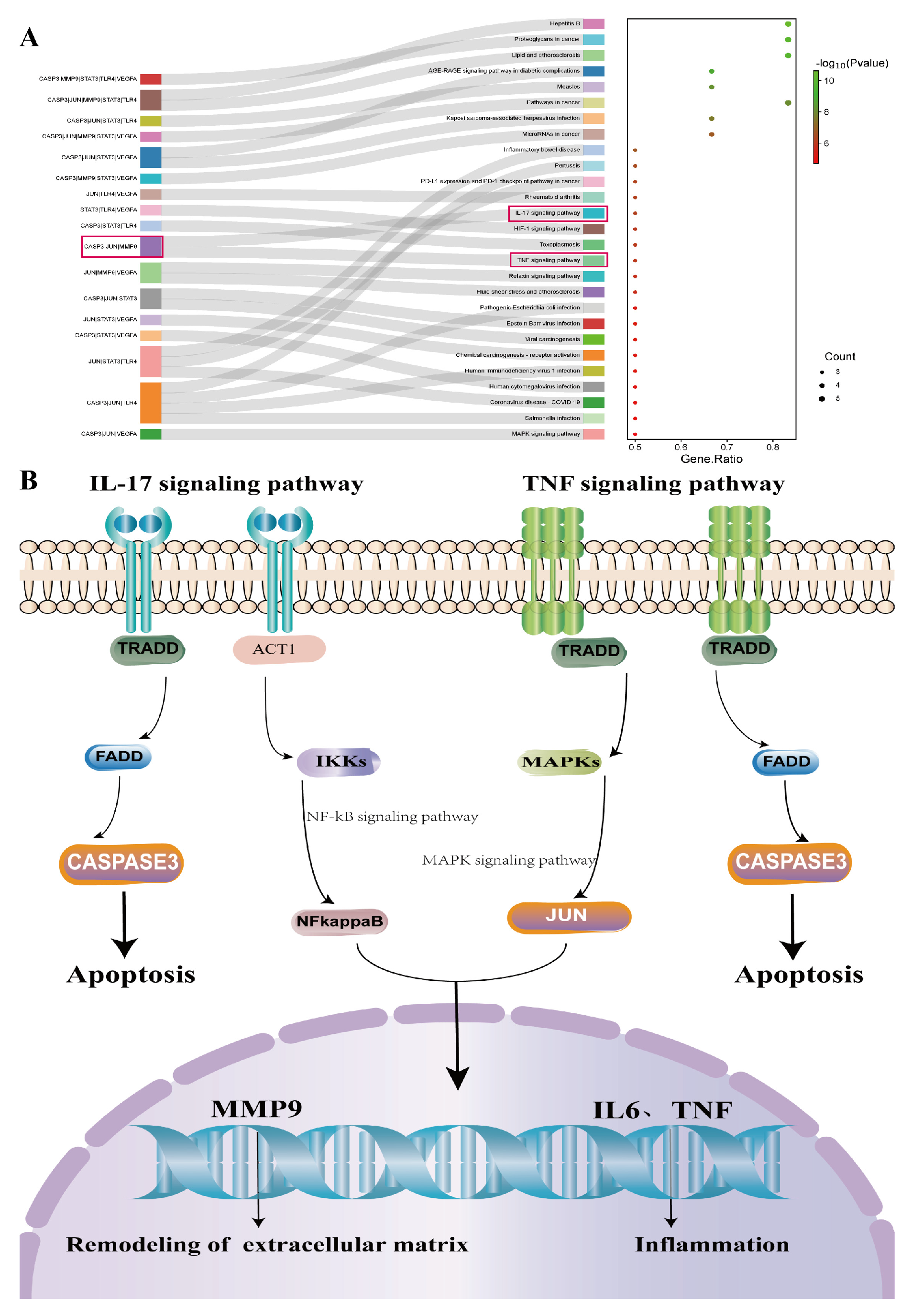 Molecules 29 00049 g003