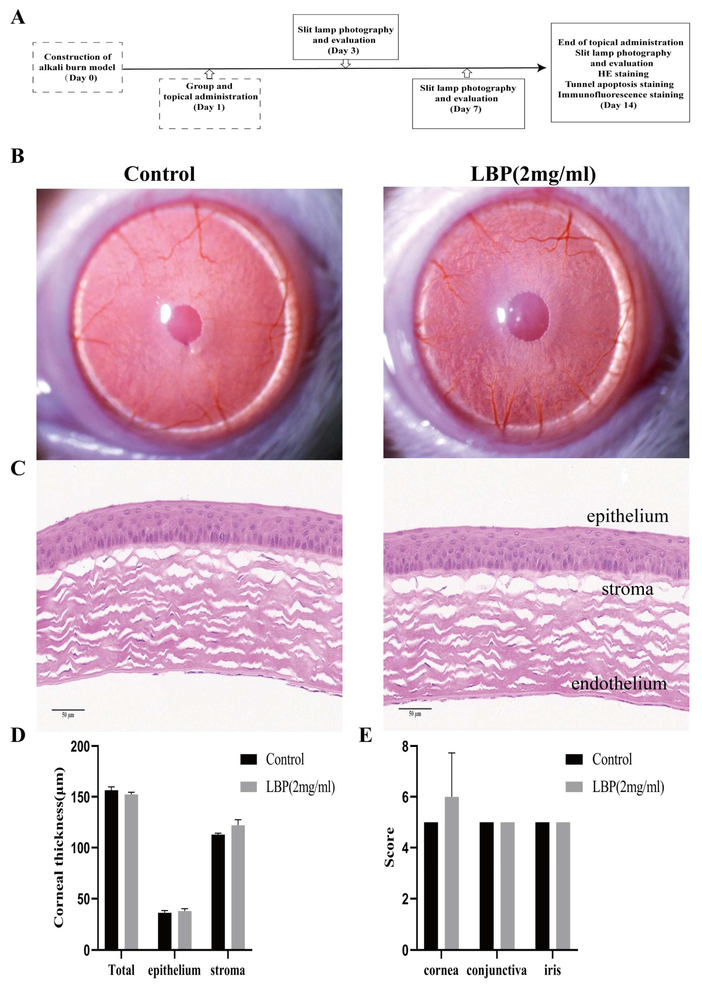 Molecules 29 00049 g004