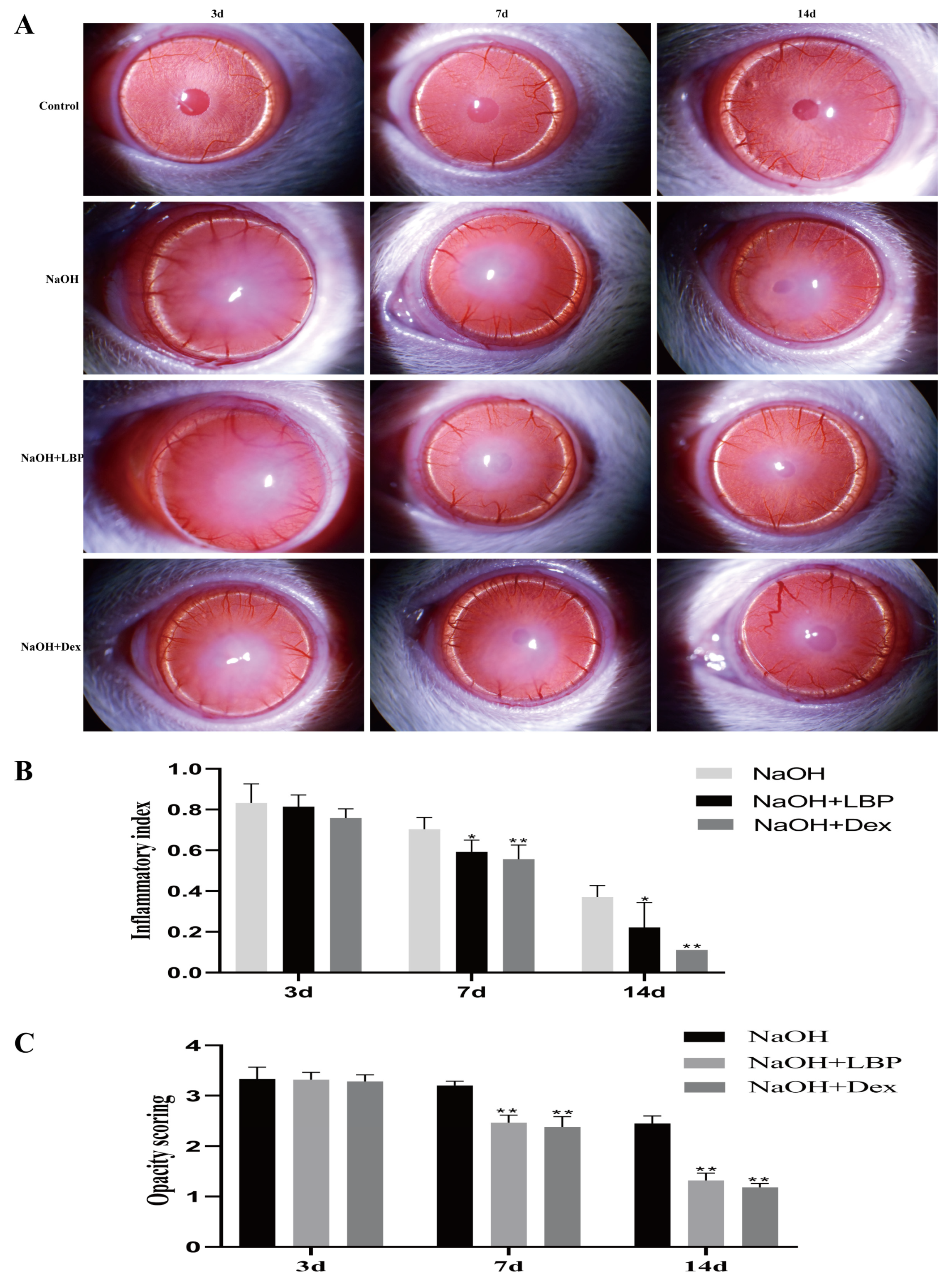 Molecules 29 00049 g005