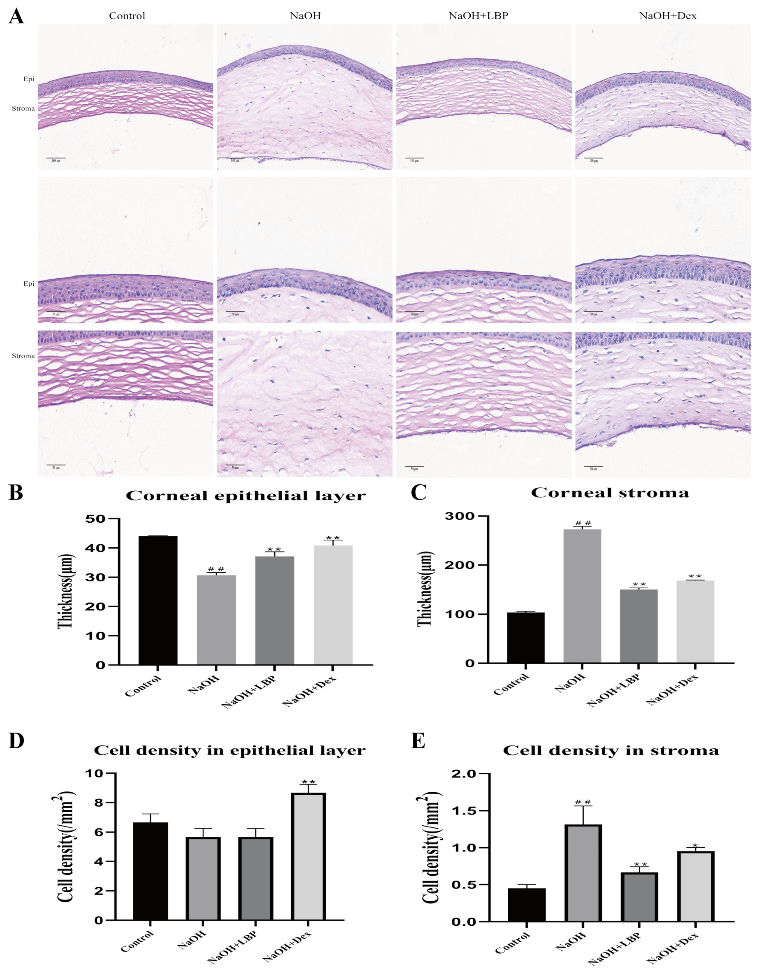 Molecules 29 00049 g006