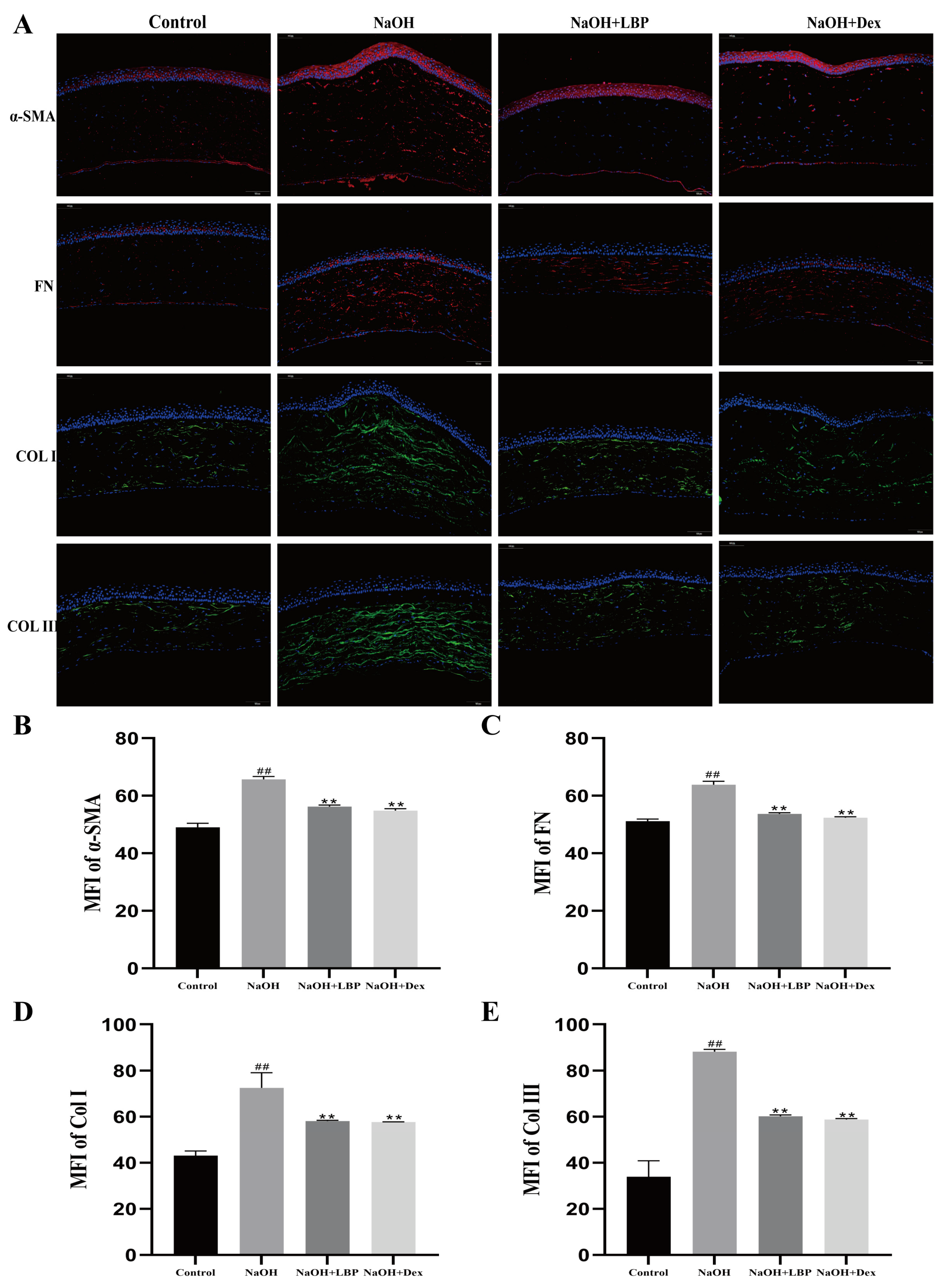 Molecules 29 00049 g008