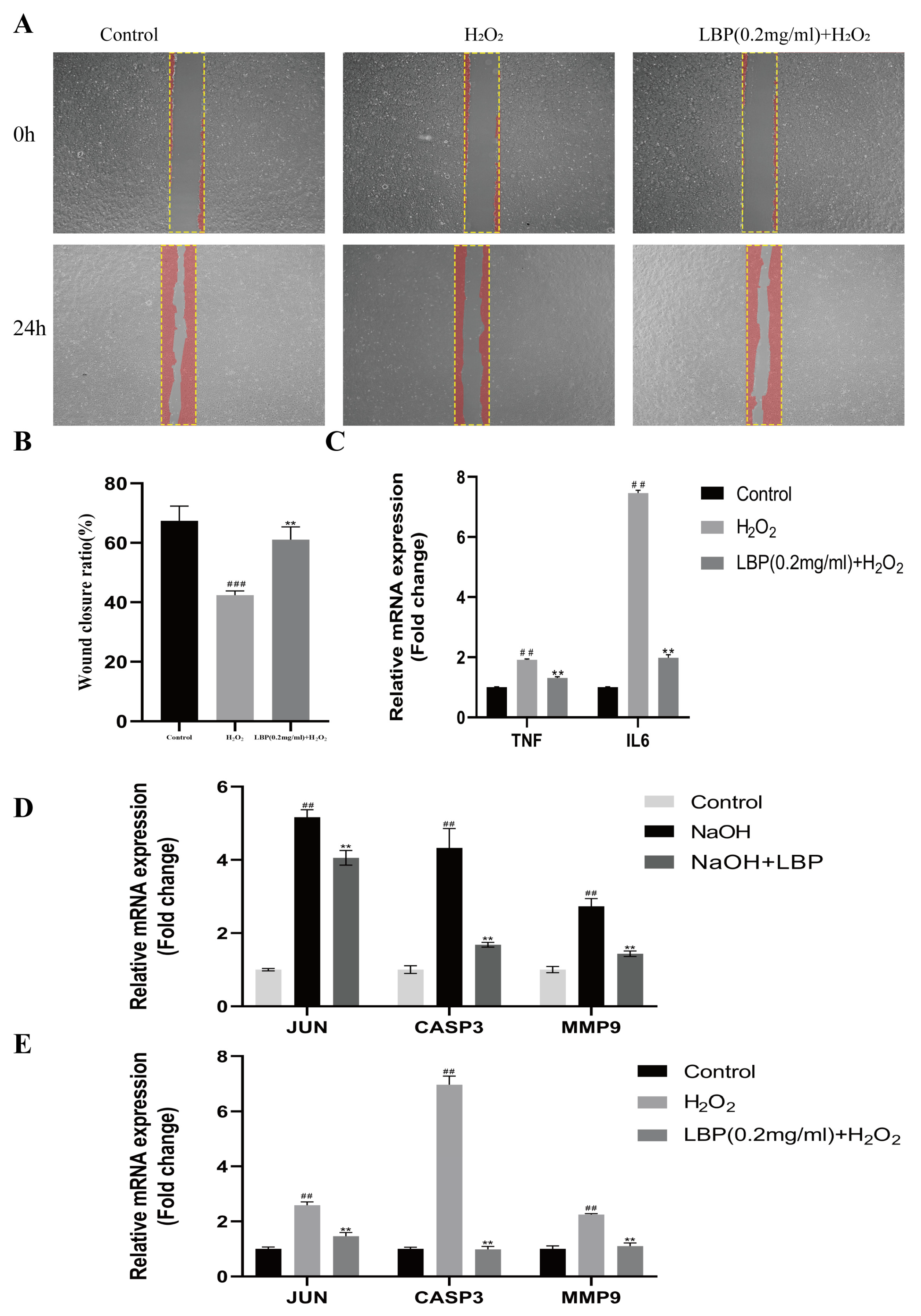 Molecules 29 00049 g011