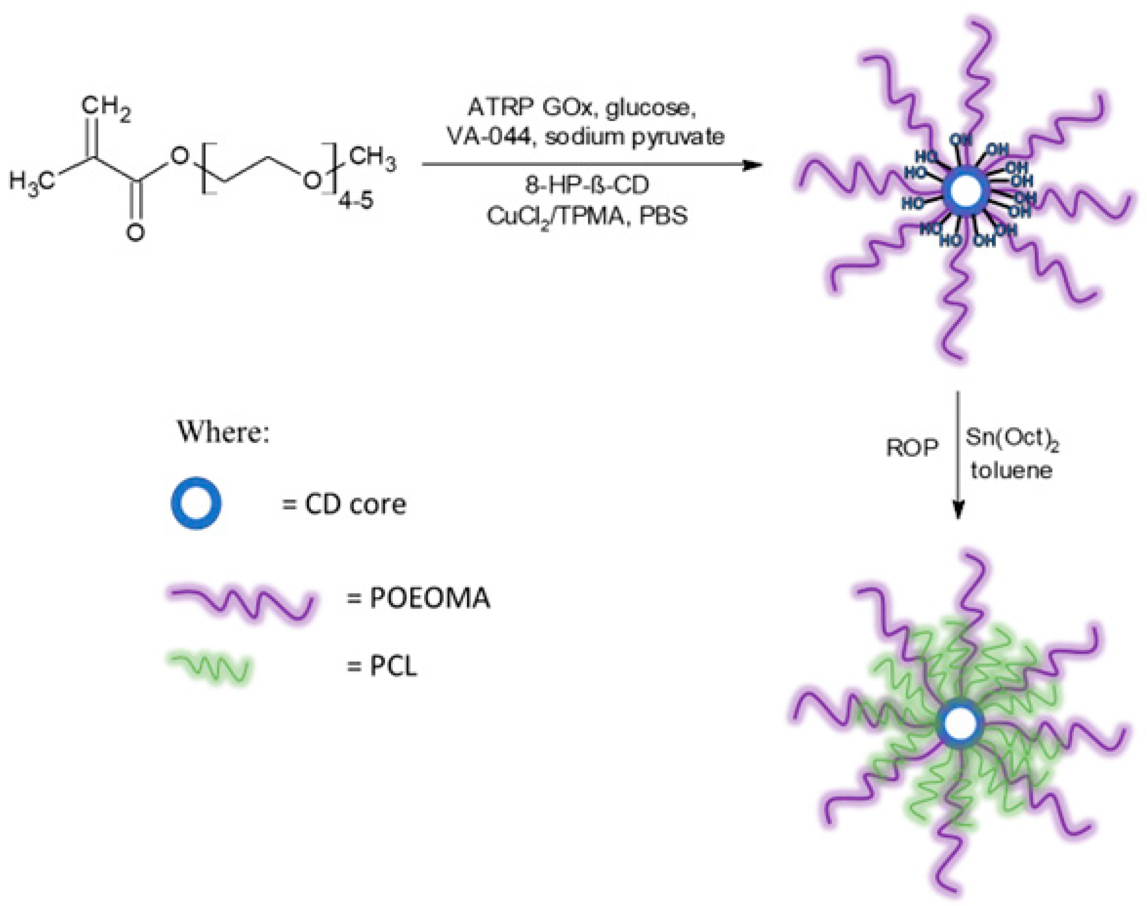 Molecules 29 00055 g004
