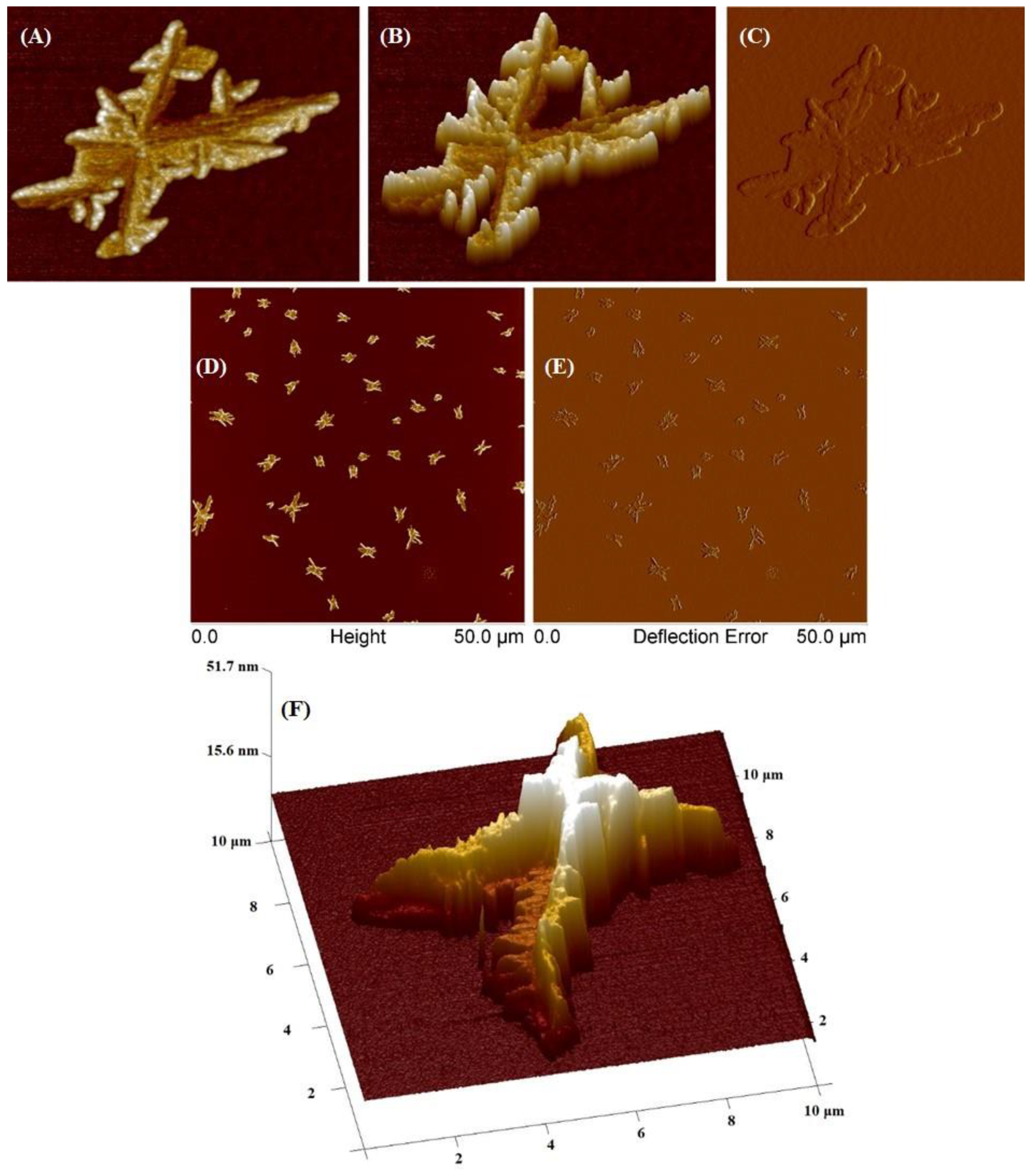 Molecules 29 00055 g010