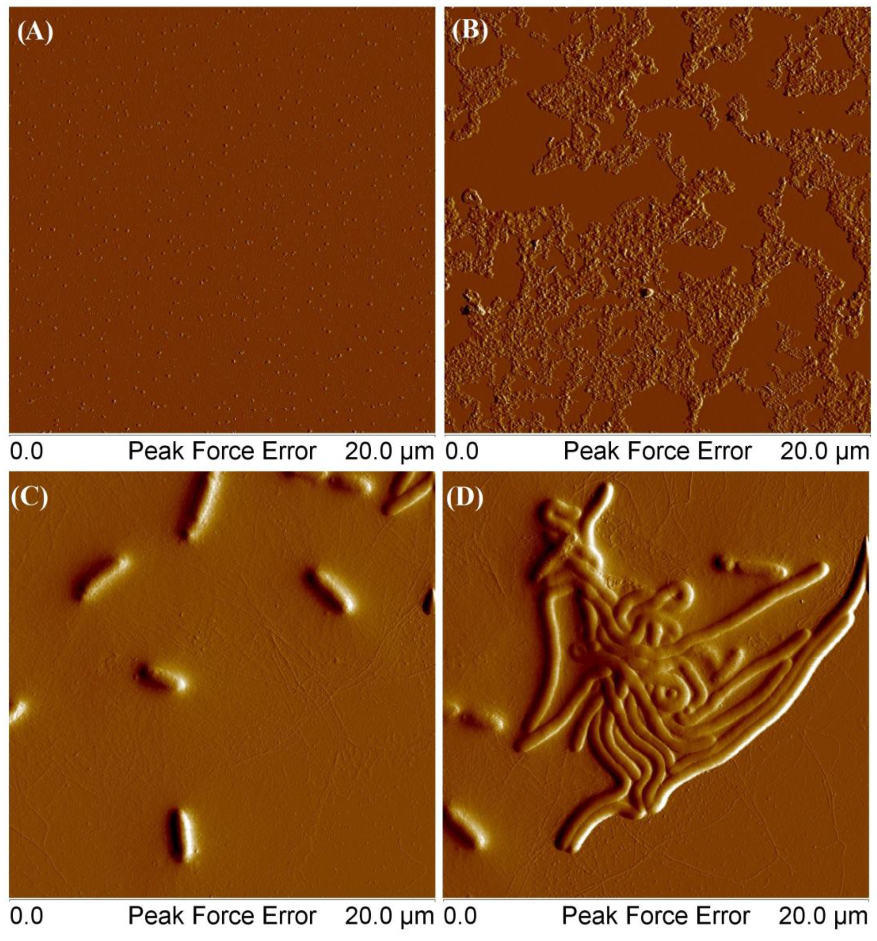 Molecules 29 00055 g012
