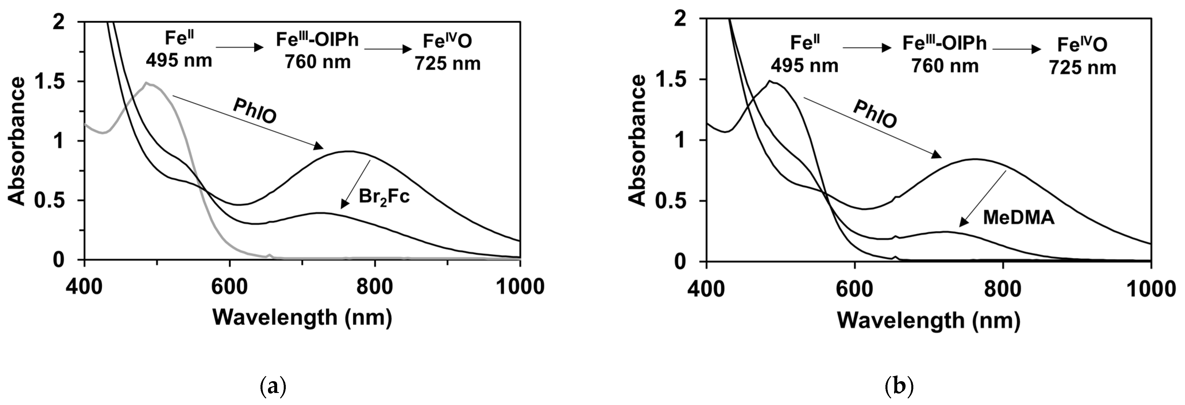 Molecules 29 00058 g007