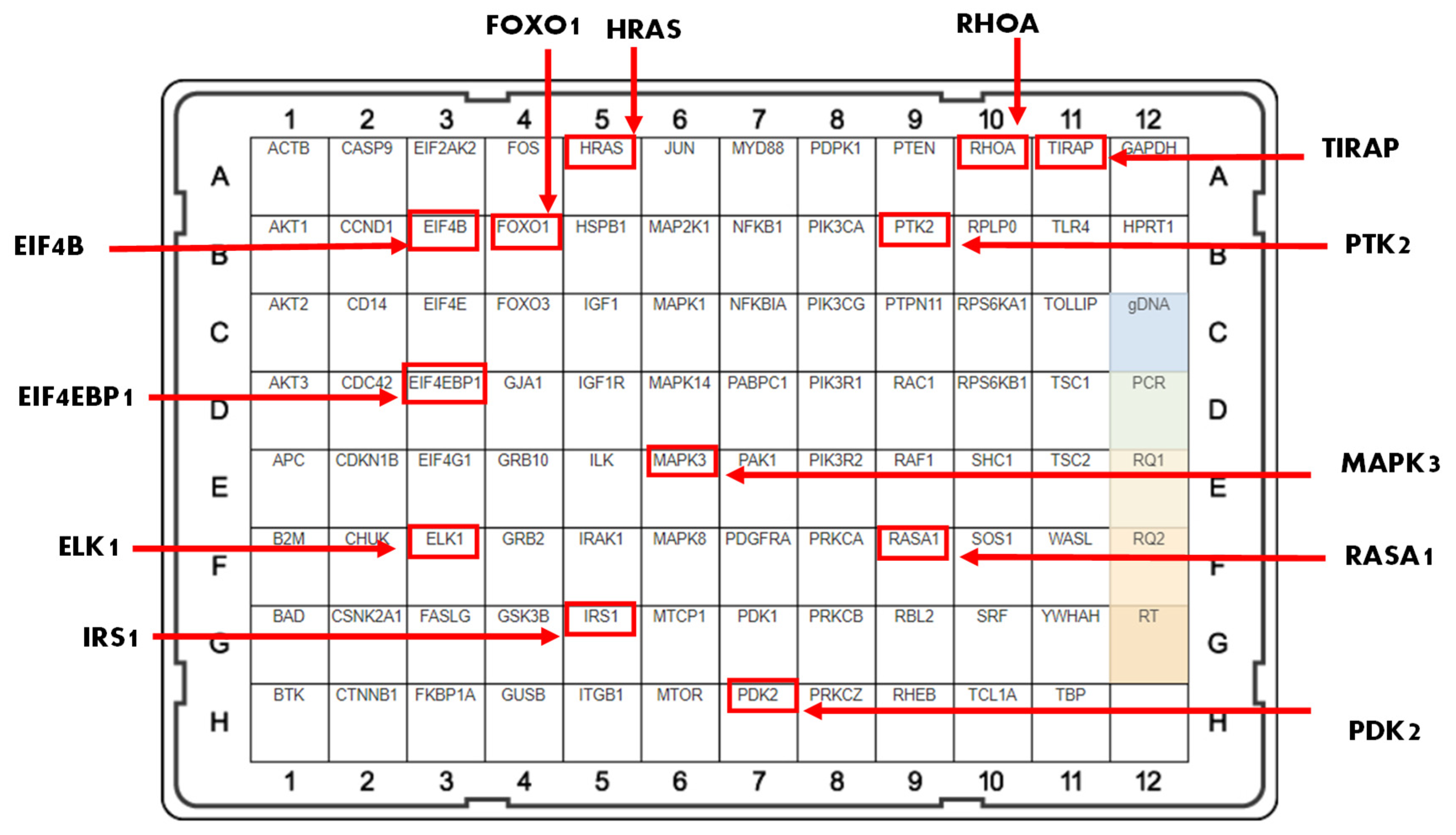 Molecules 29 00061 g002