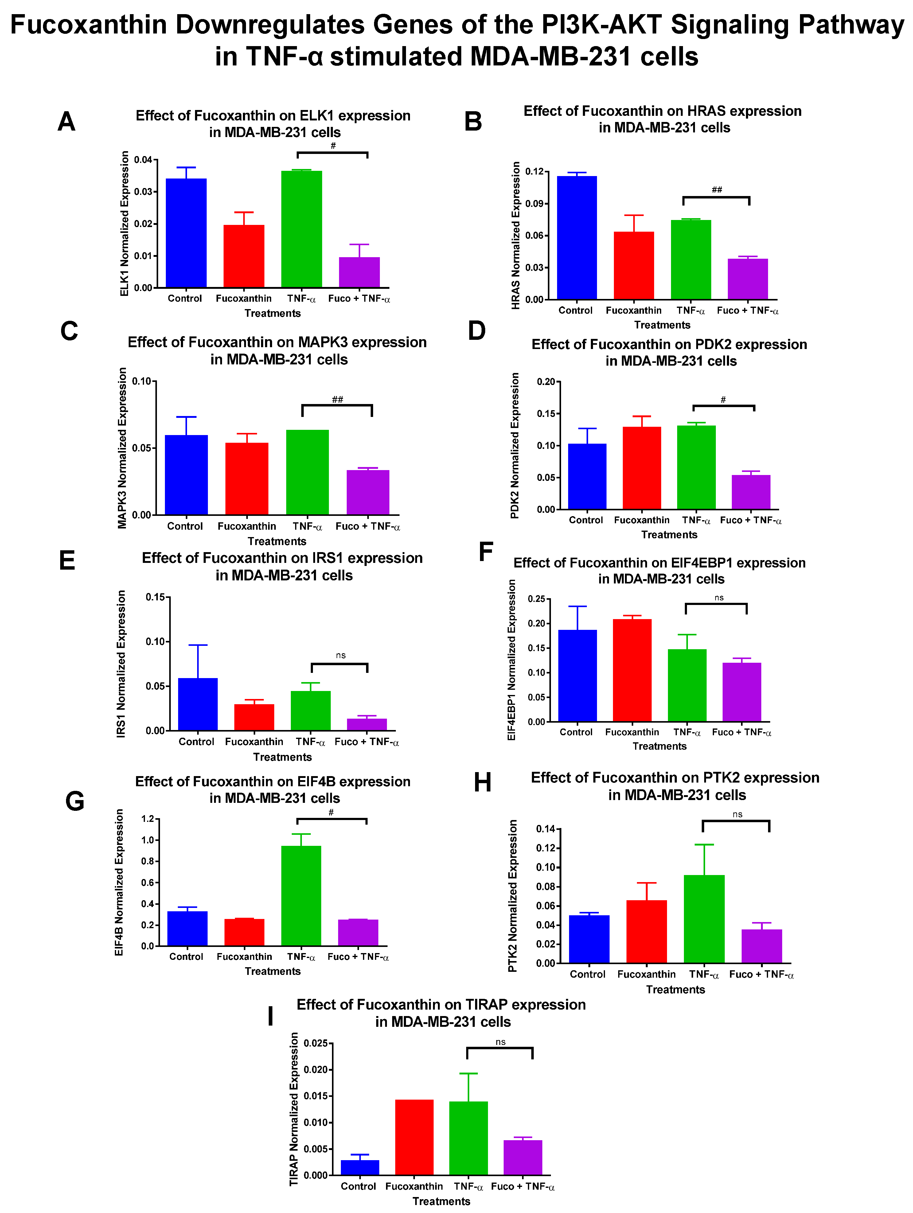 Molecules 29 00061 g004