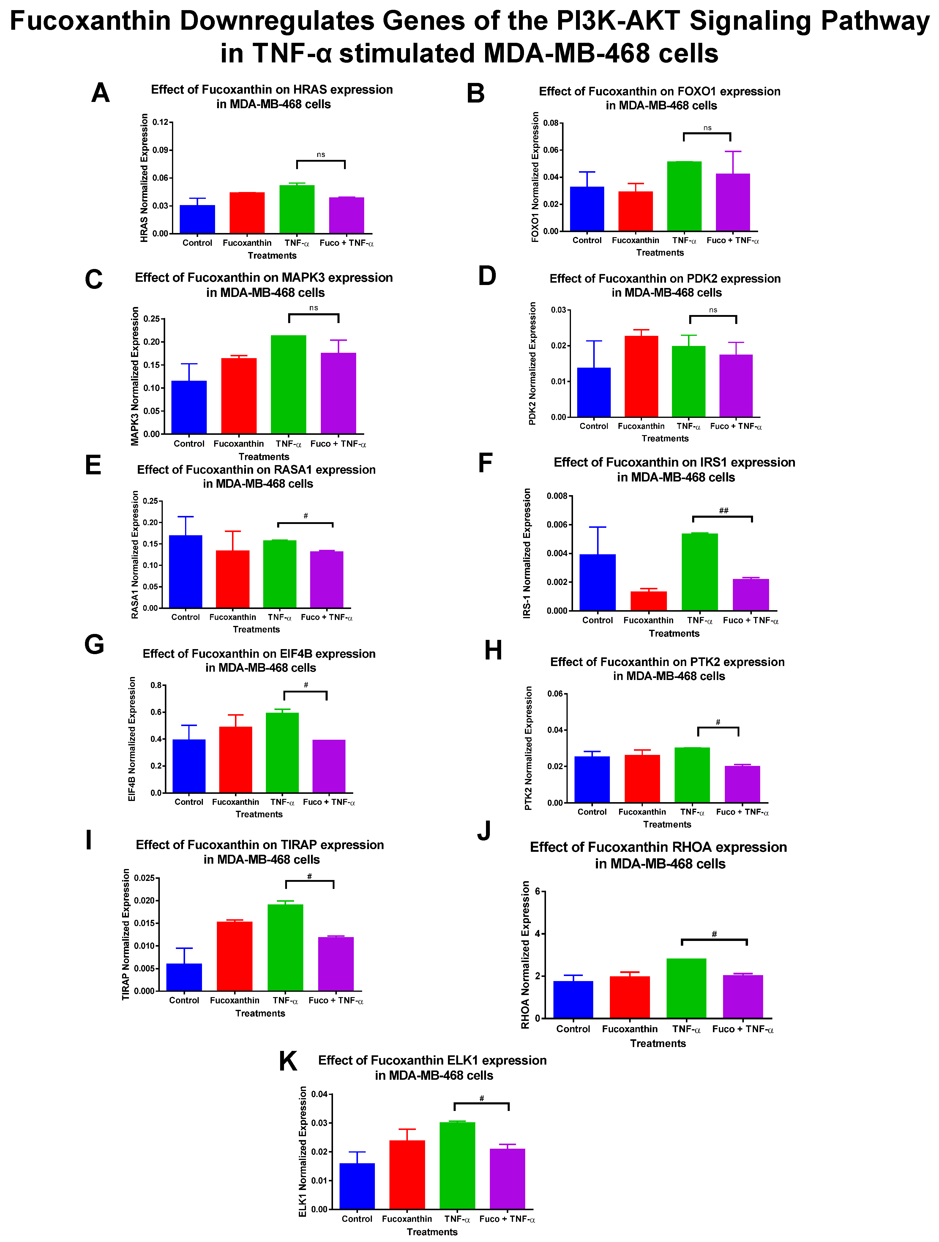 Molecules 29 00061 g006