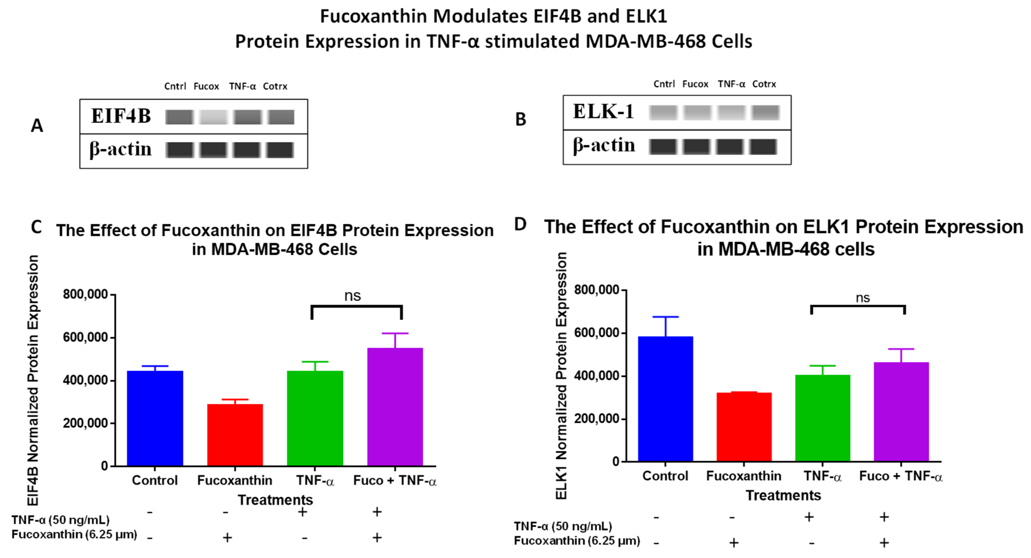 Molecules 29 00061 g009
