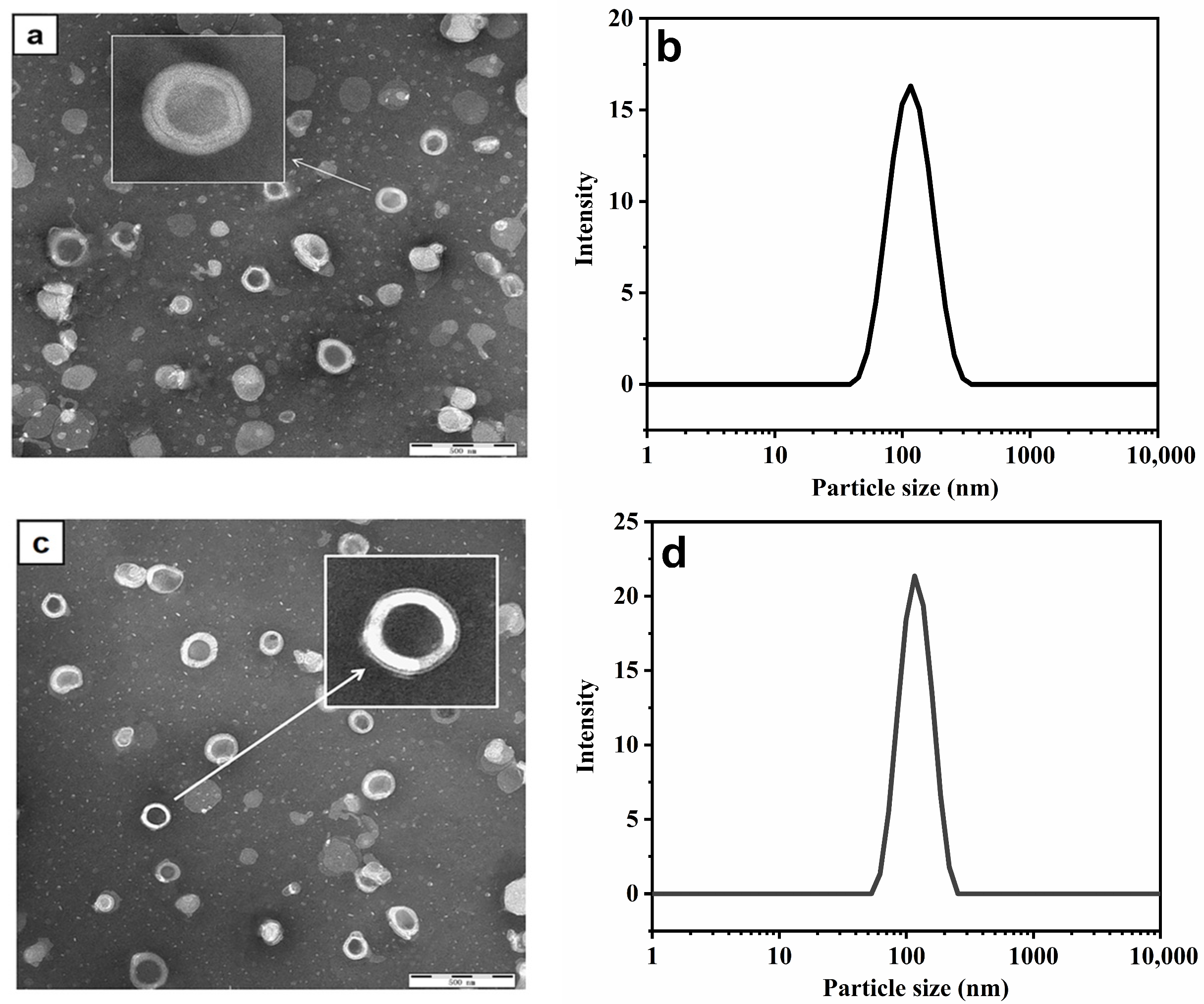 Molecules 29 00066 g007 Molecules 29 00066 g007
