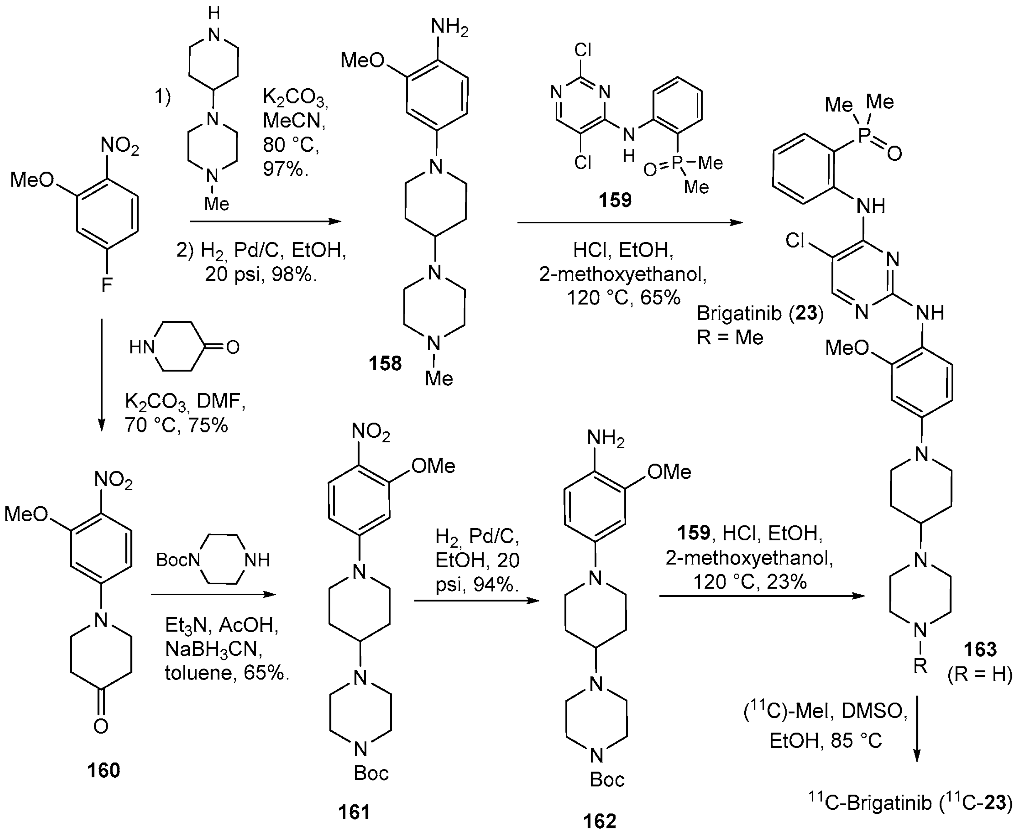 Molecules 29 00068 sch020 Molecules 29 00068 sch020