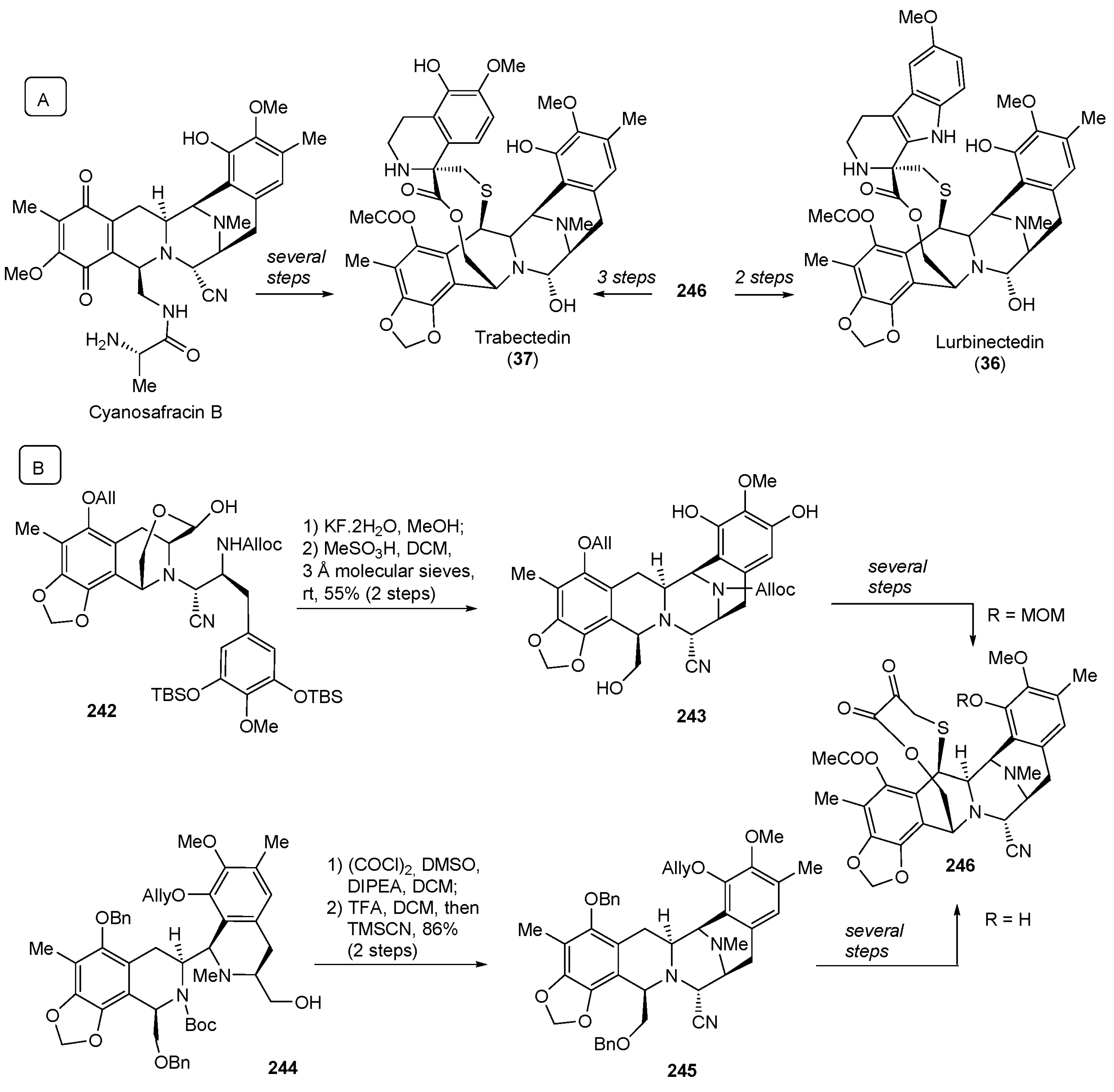Molecules 29 00068 sch033 Molecules 29 00068 sch033