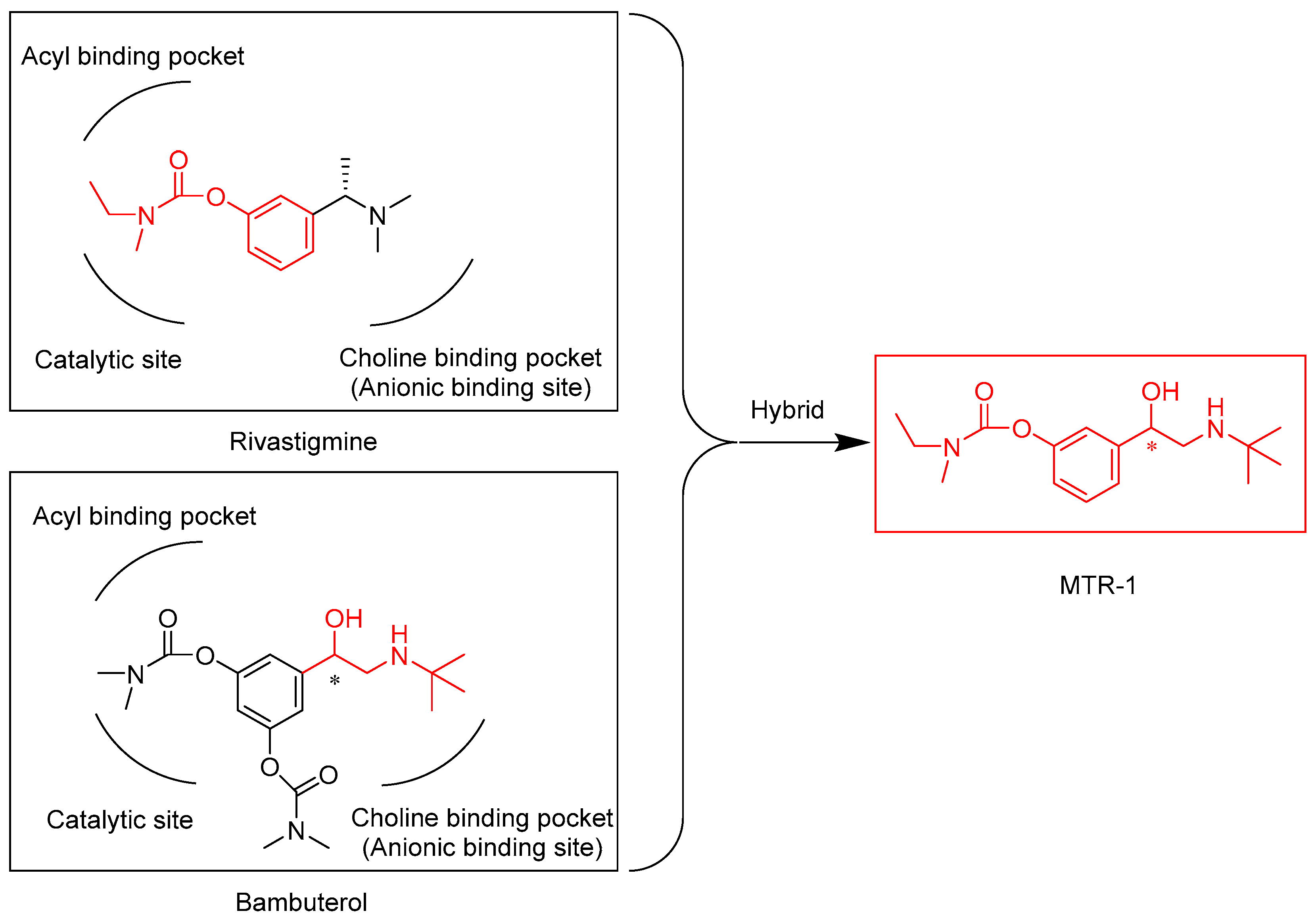 Molecules 29 00072 g001