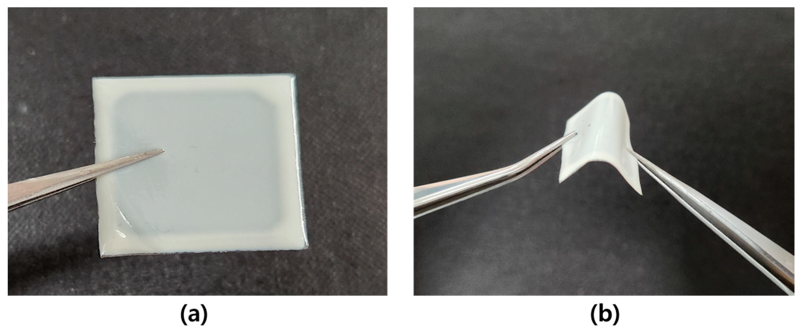 Molecules 29 00073 g001