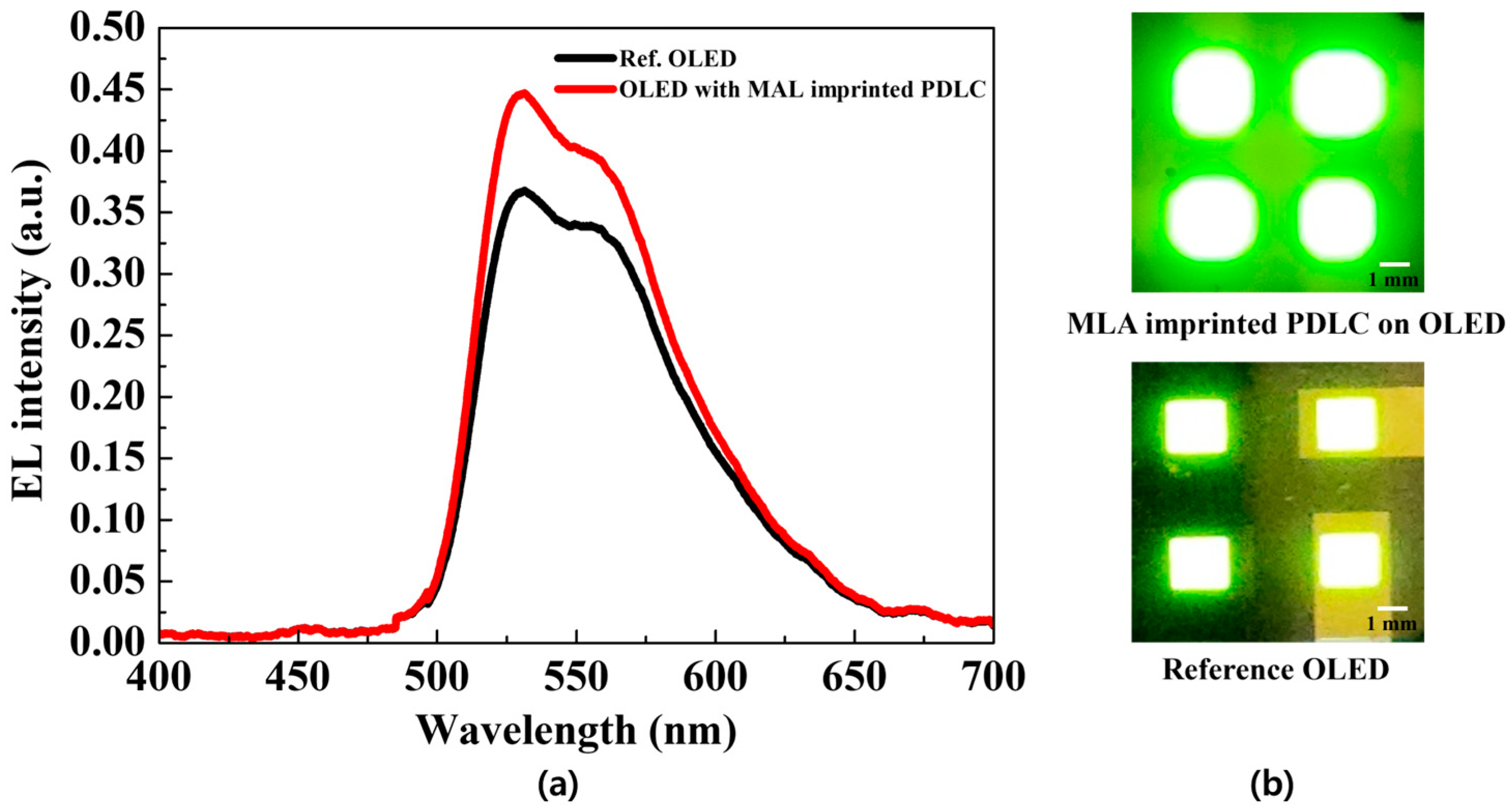 Molecules 29 00073 g005