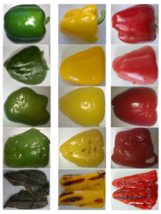 Molecules 29 00077 i001